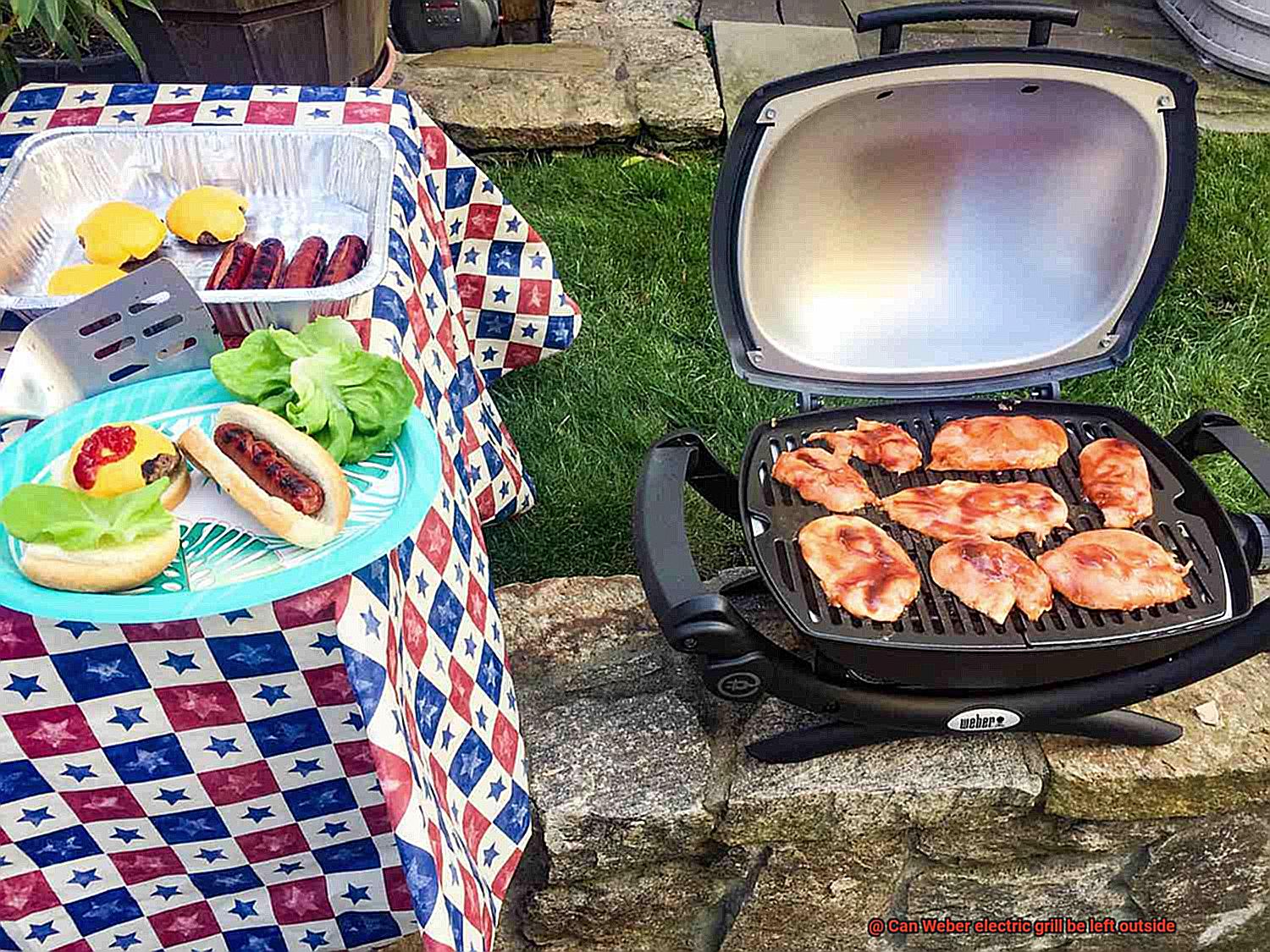 Can Weber electric grill be left outside-2