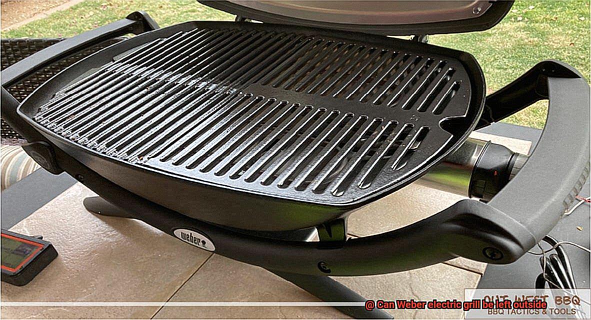 Can Weber electric grill be left outside-8