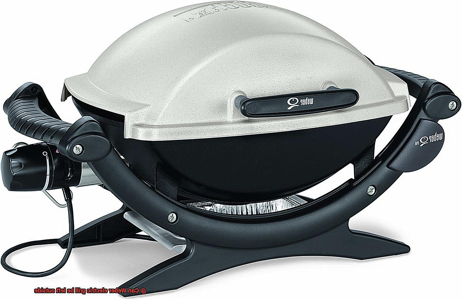 Can Weber electric grill be left outside-6