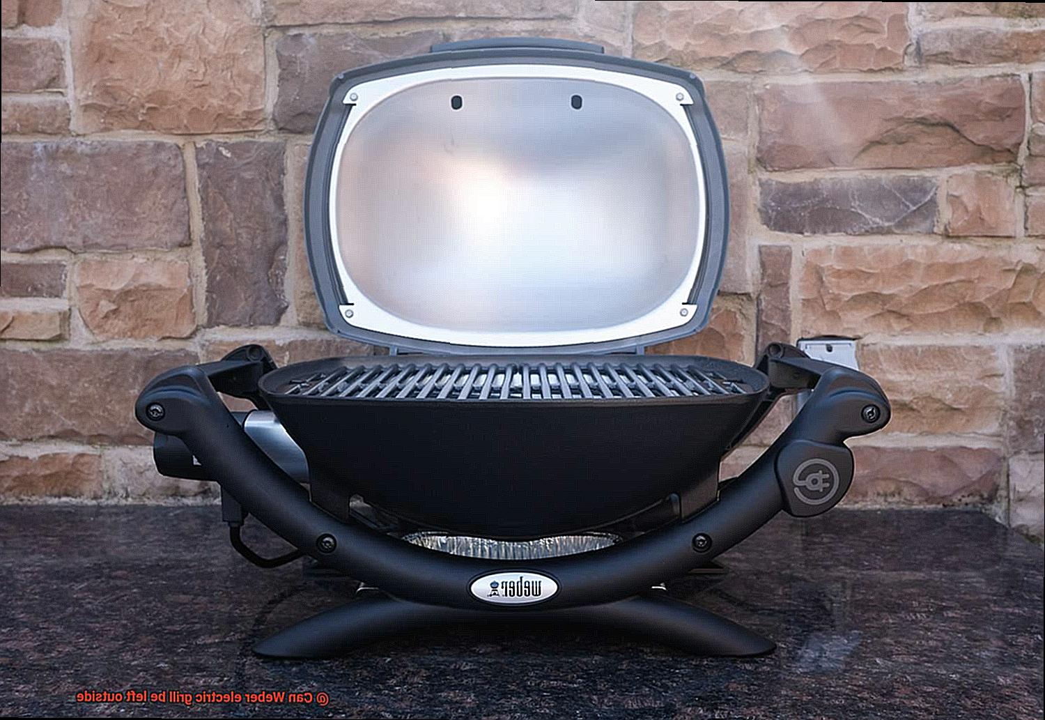 Can Weber electric grill be left outside-9