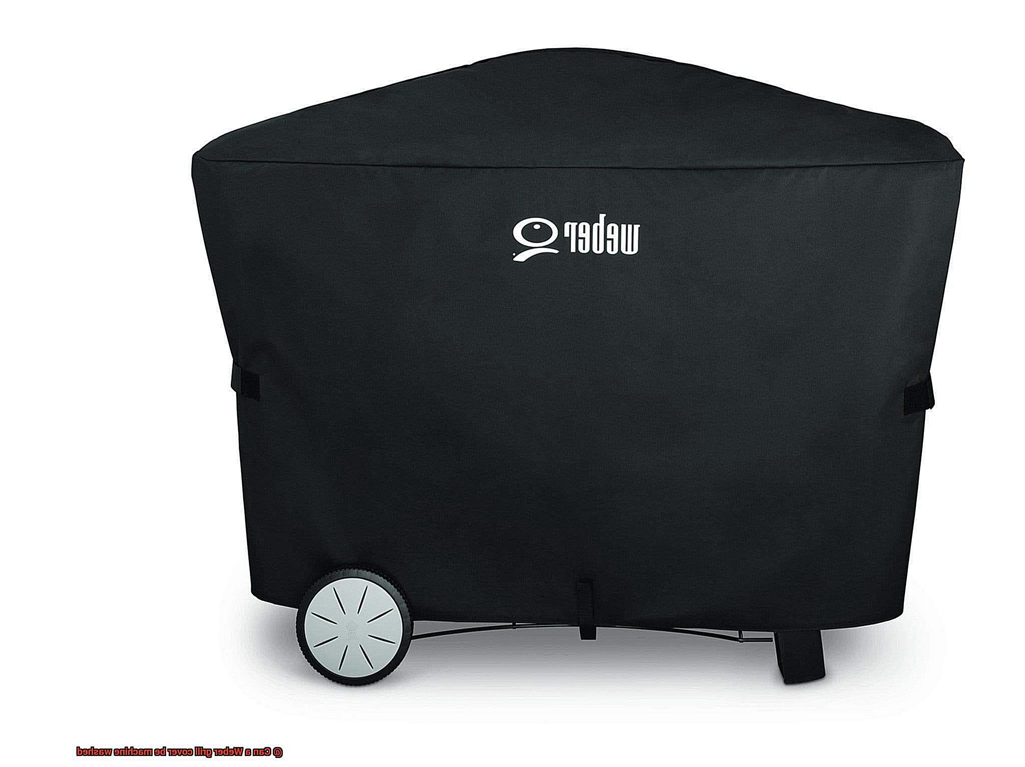 Can a Weber grill cover be machine washed-3