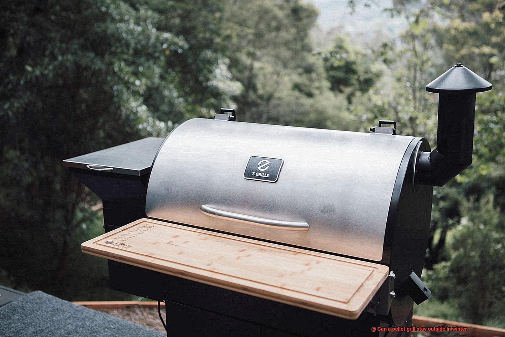 Can a pellet grill stay outside in winter-8