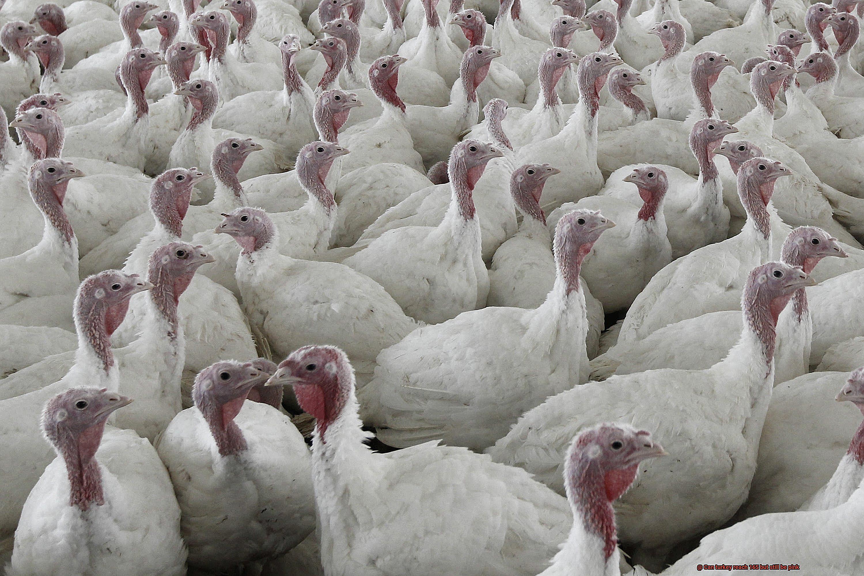 Can turkey reach 165 but still be pink-4
