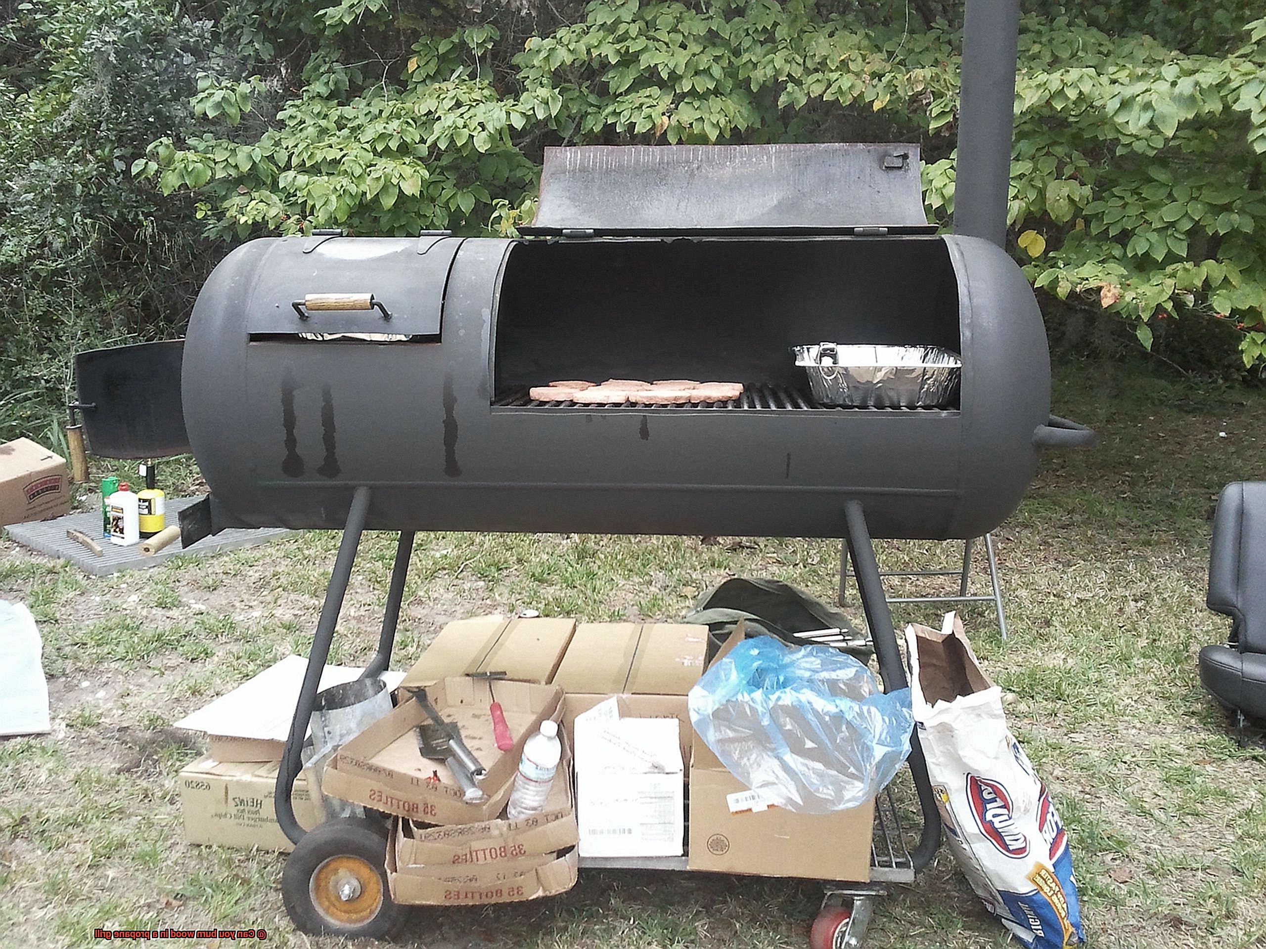 Can you burn wood in a propane grill-2