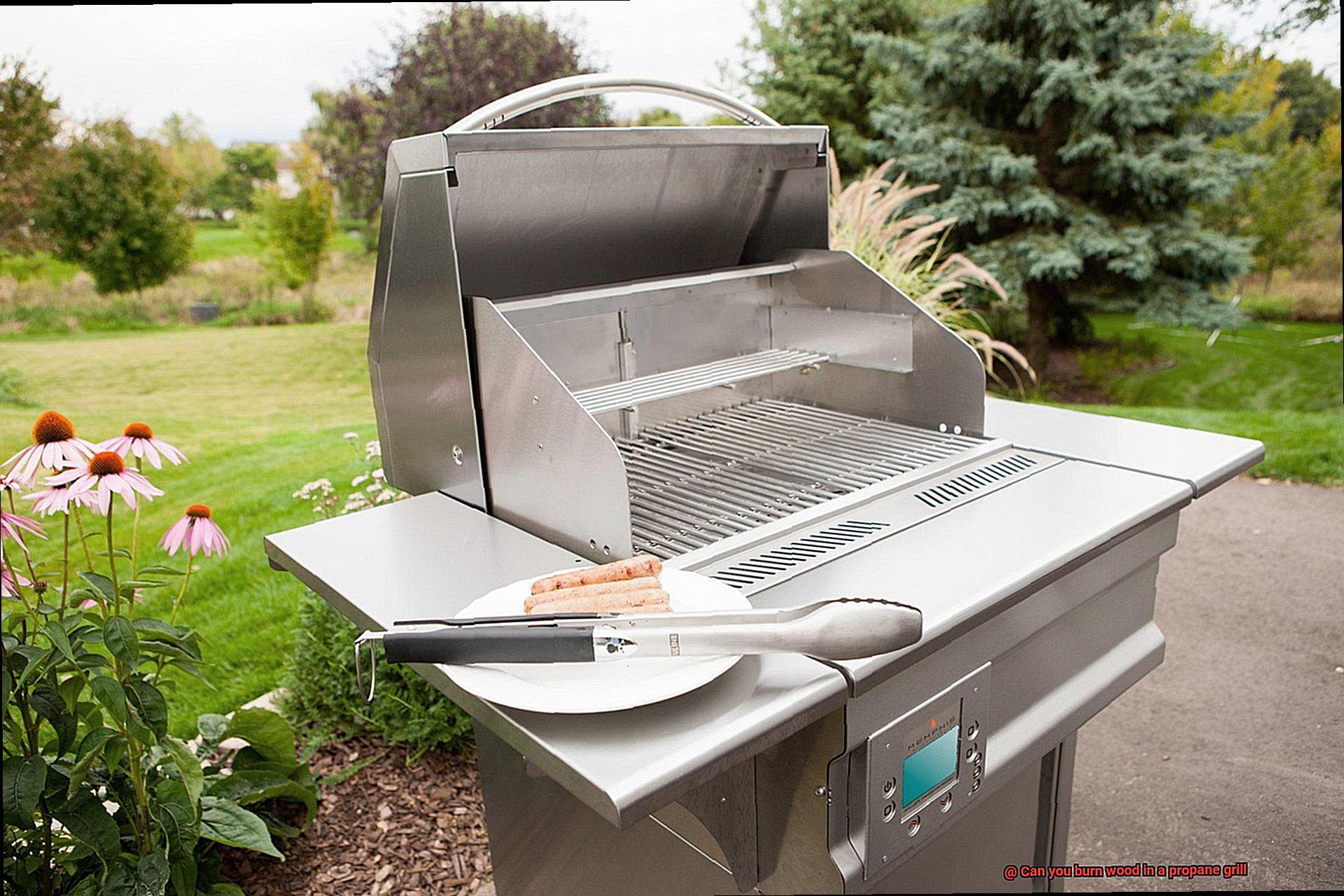 Can you burn wood in a propane grill-3