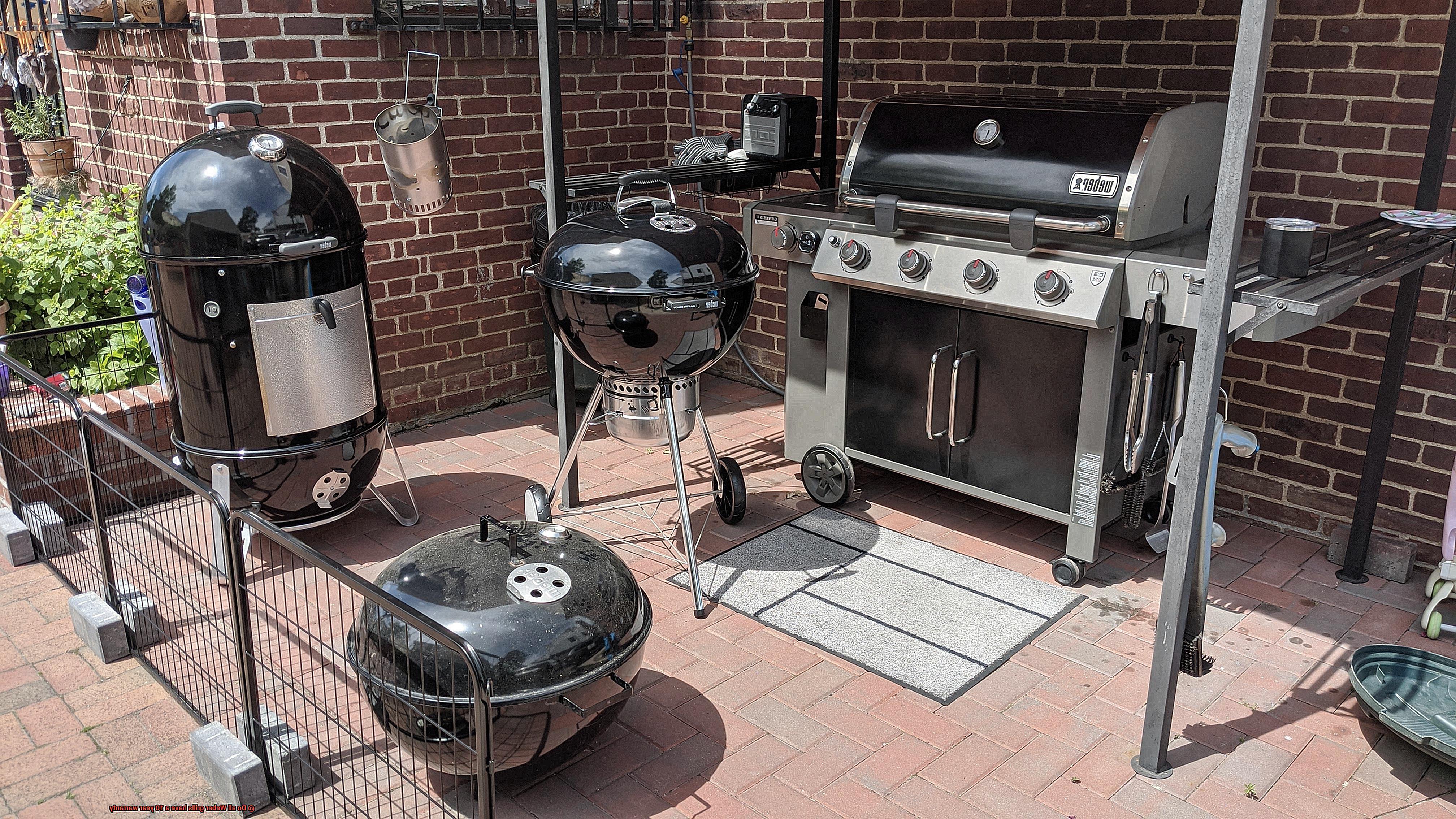 Do all Weber grills have a 10 year warranty-4