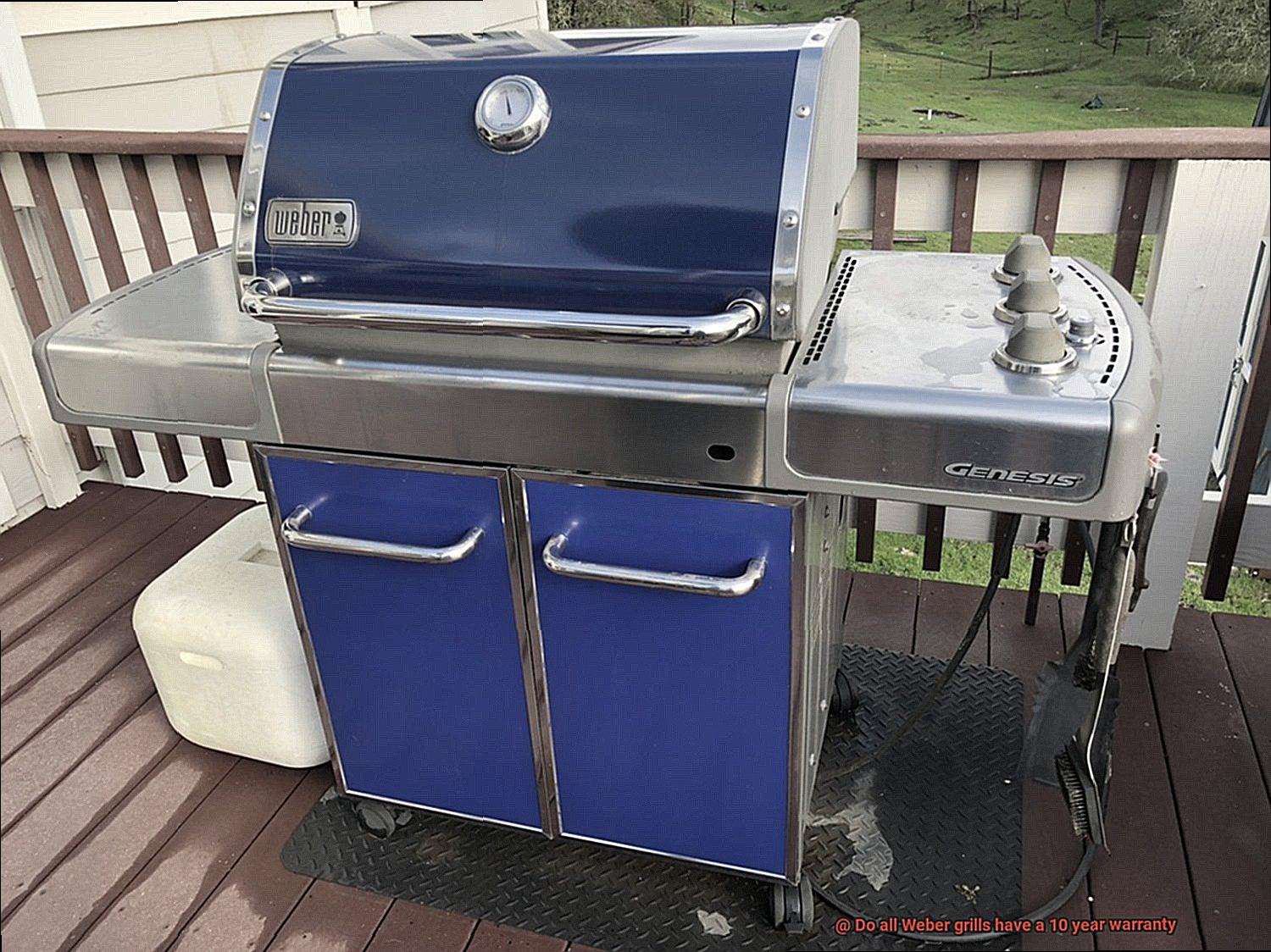 Do all Weber grills have a 10 year warranty-5