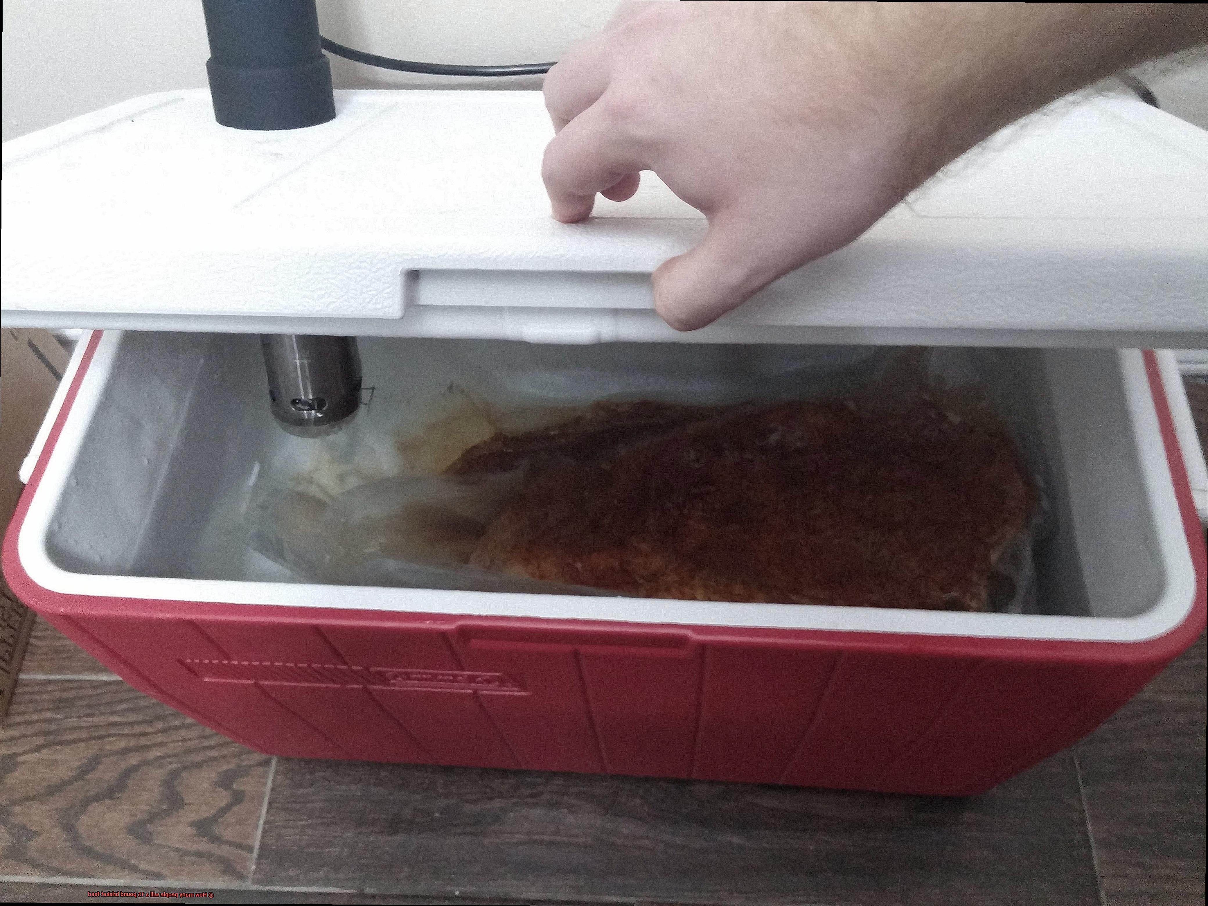 How many people will a 15 pound brisket feed-2