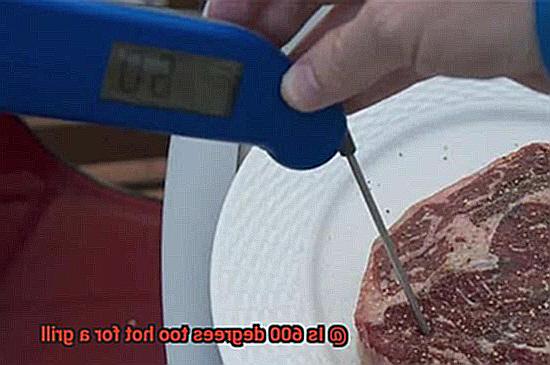 Is 600 degrees too hot for a grill-9