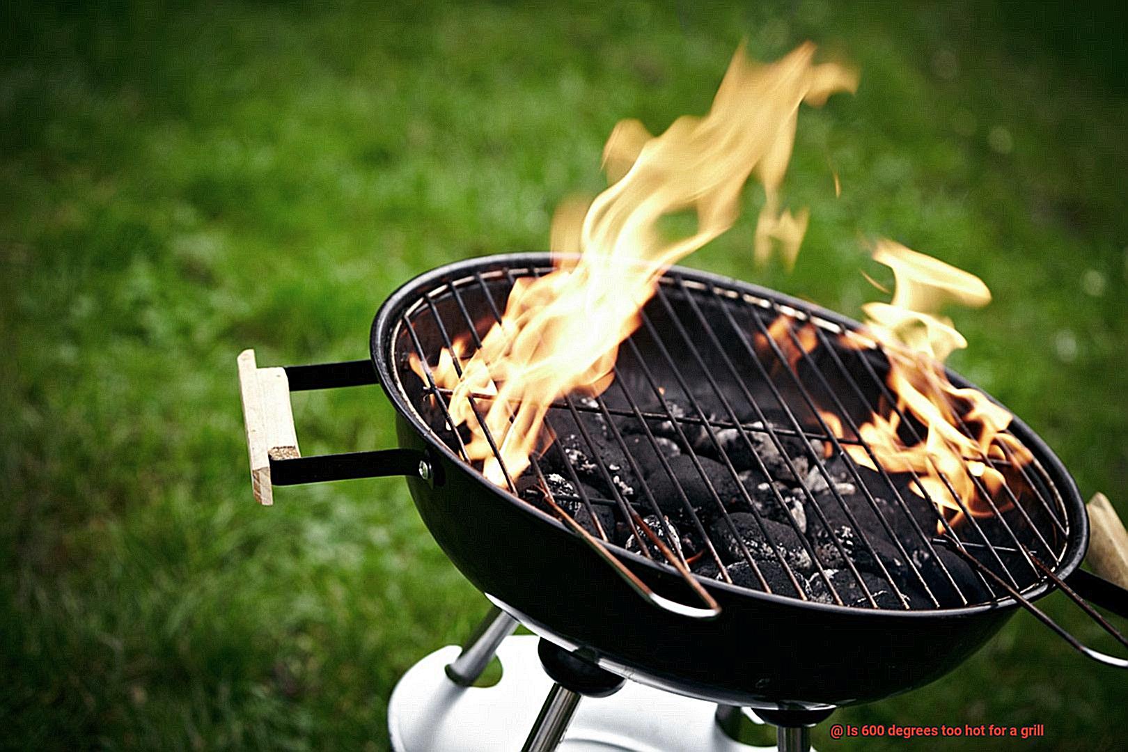 Is 600 degrees too hot for a grill-4