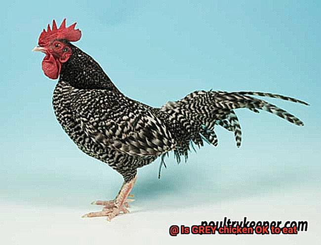 Is GREY chicken OK to eat-3