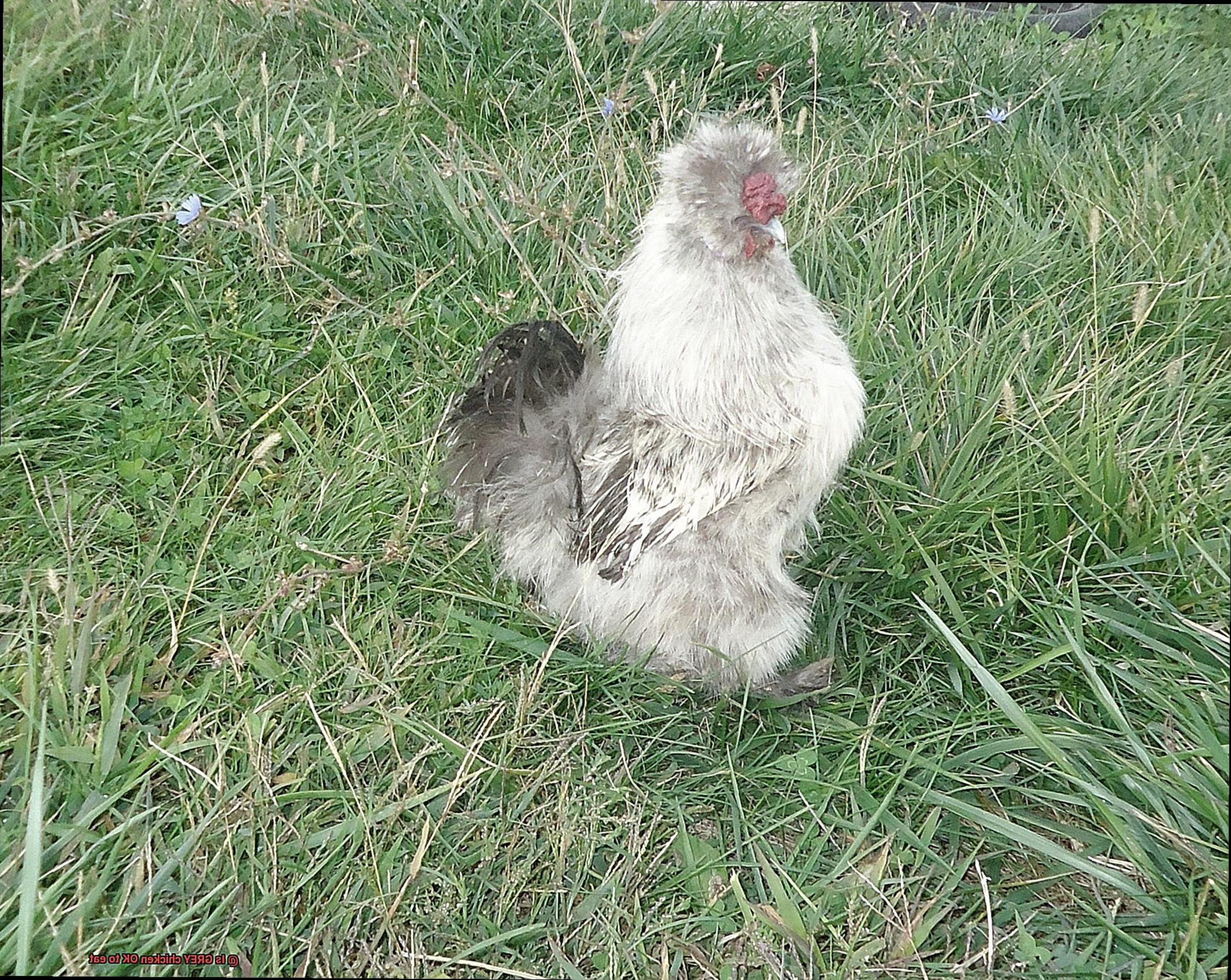 Is GREY chicken OK to eat-5