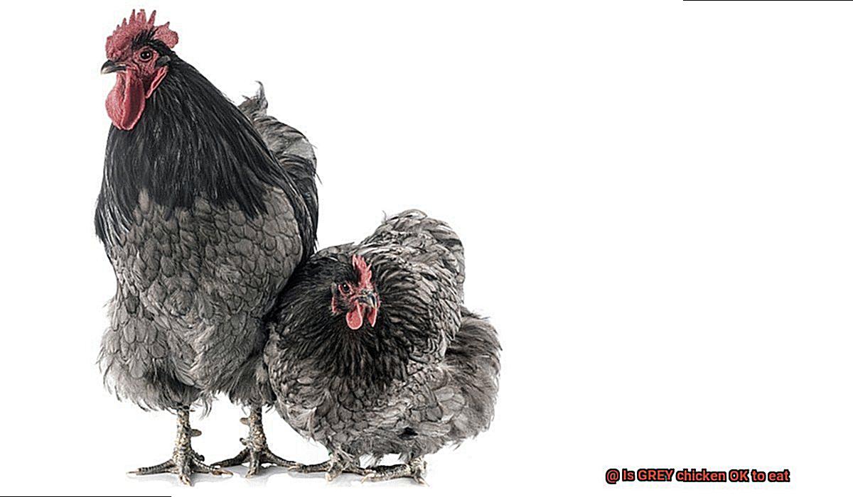Is GREY chicken OK to eat-9