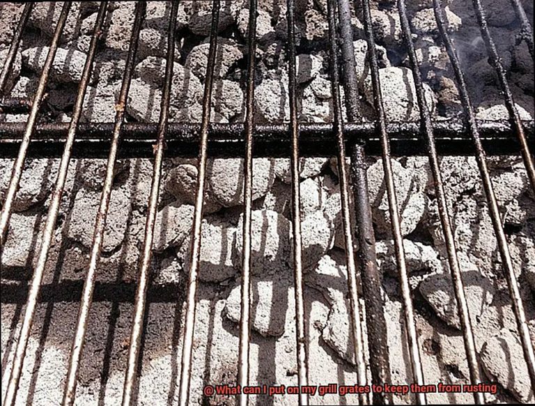 What can I put on my grill grates to keep them from rusting? Pastime