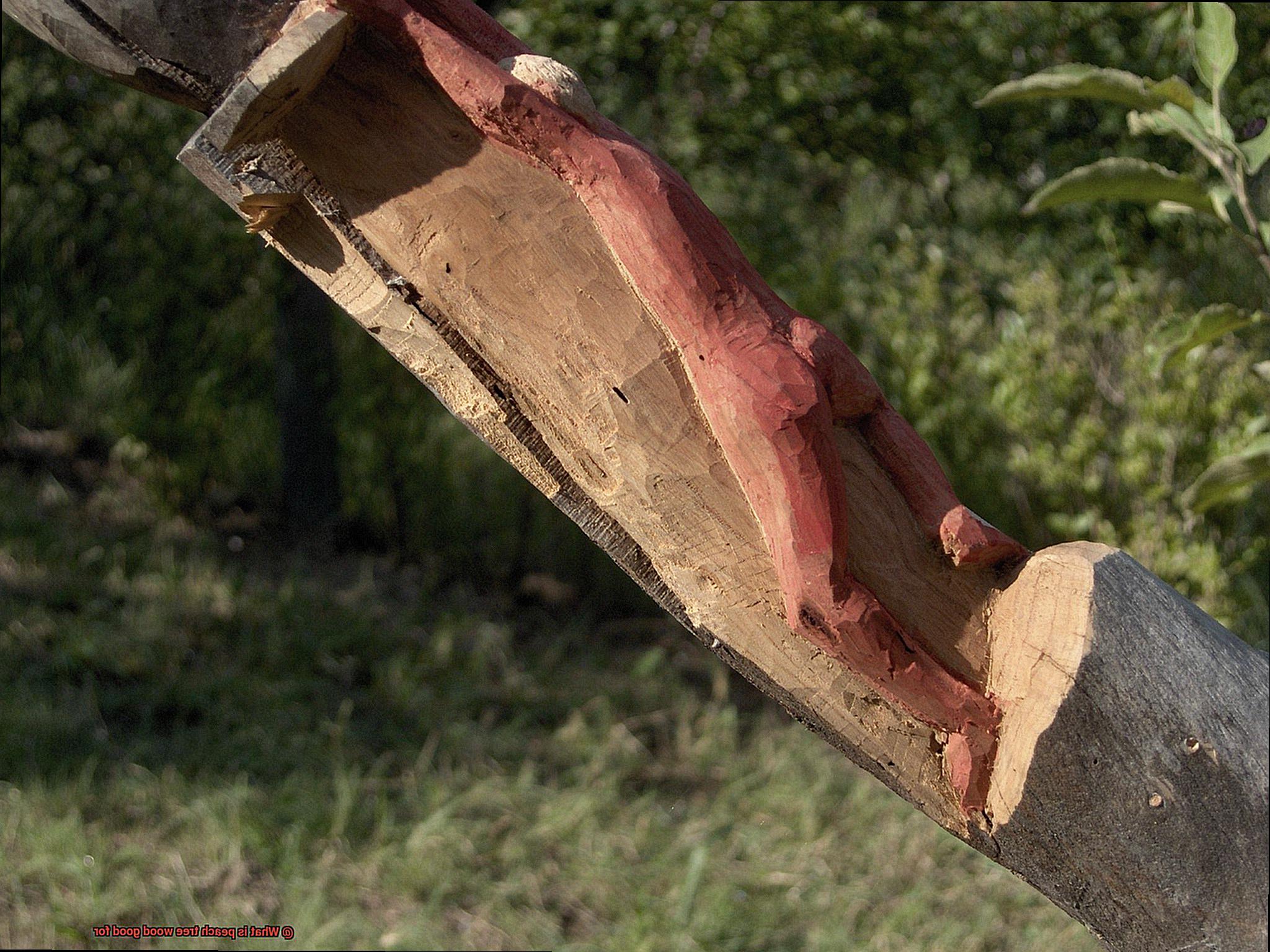 What is peach tree wood good for-2