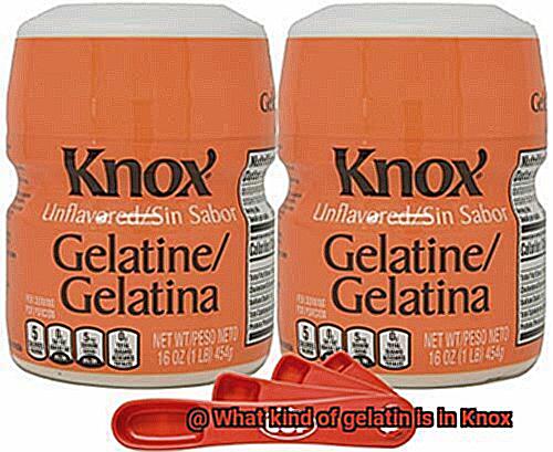 What kind of gelatin is in Knox-6