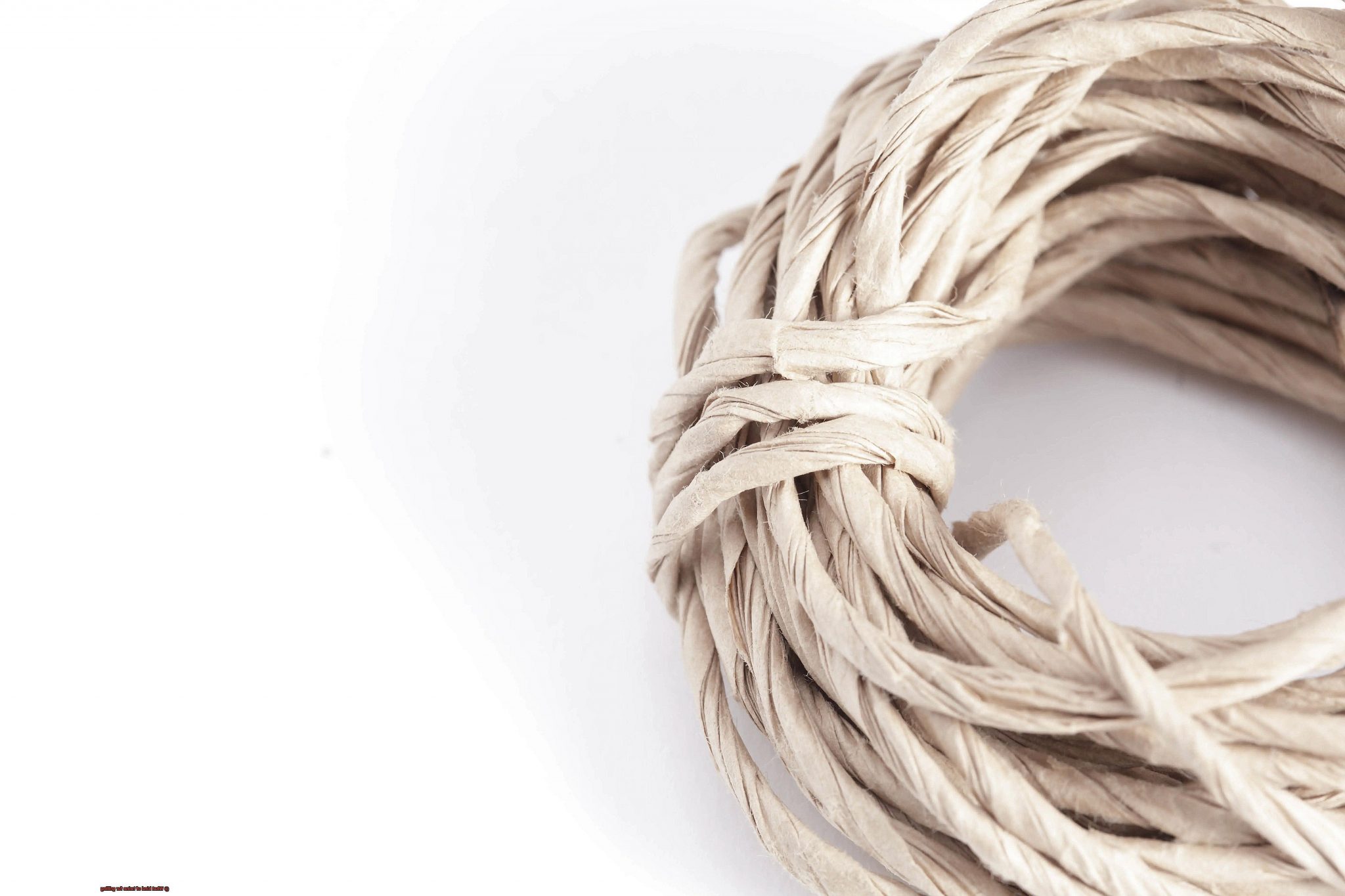 What kind of twine for grilling? Pastime Bar And Grill