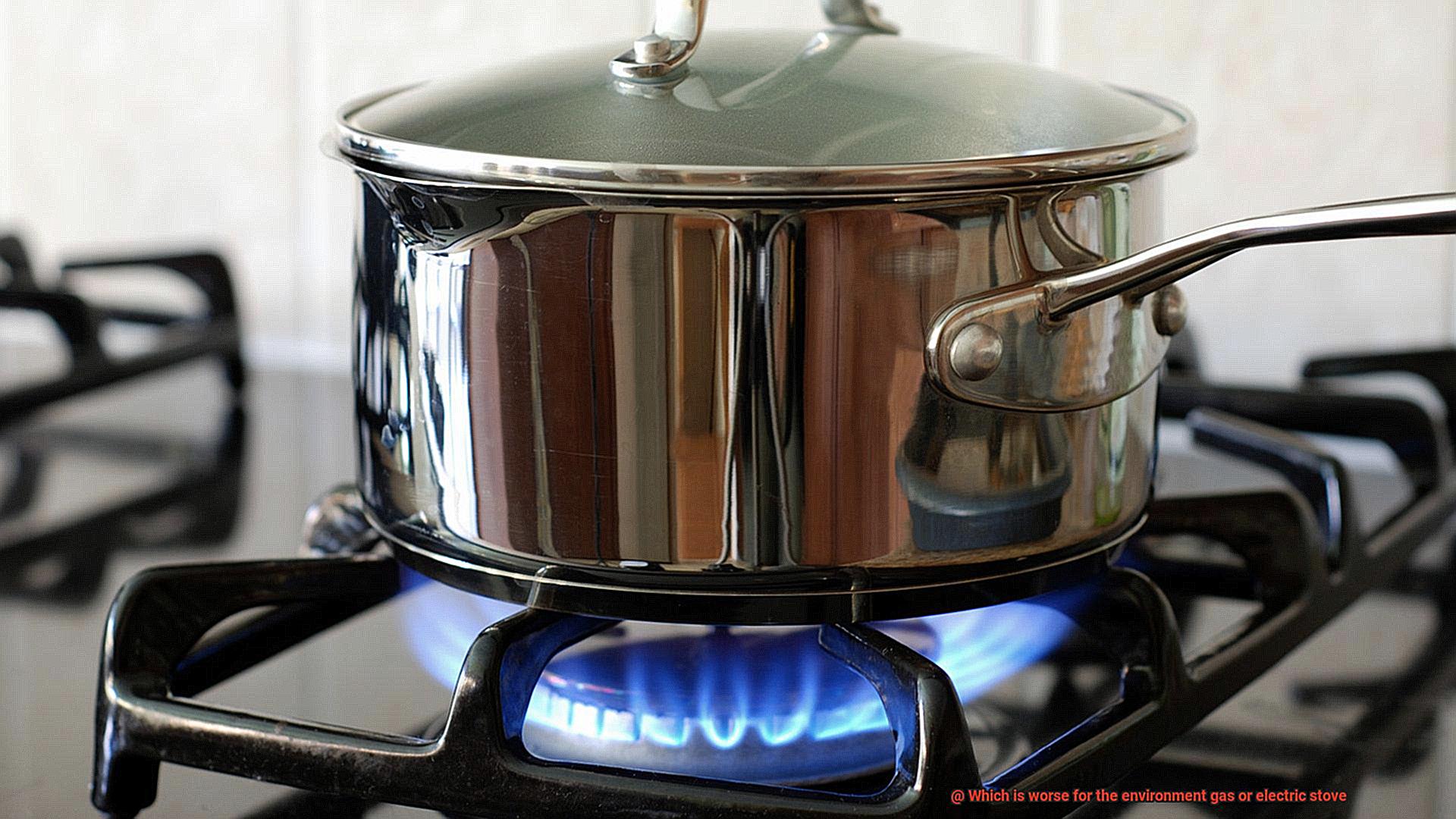 Which is worse for the environment gas or electric stove-3