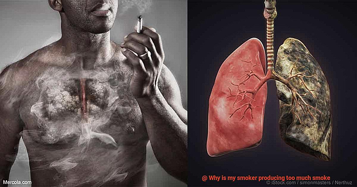 Why is my smoker producing too much smoke? Pastime Bar And Grill