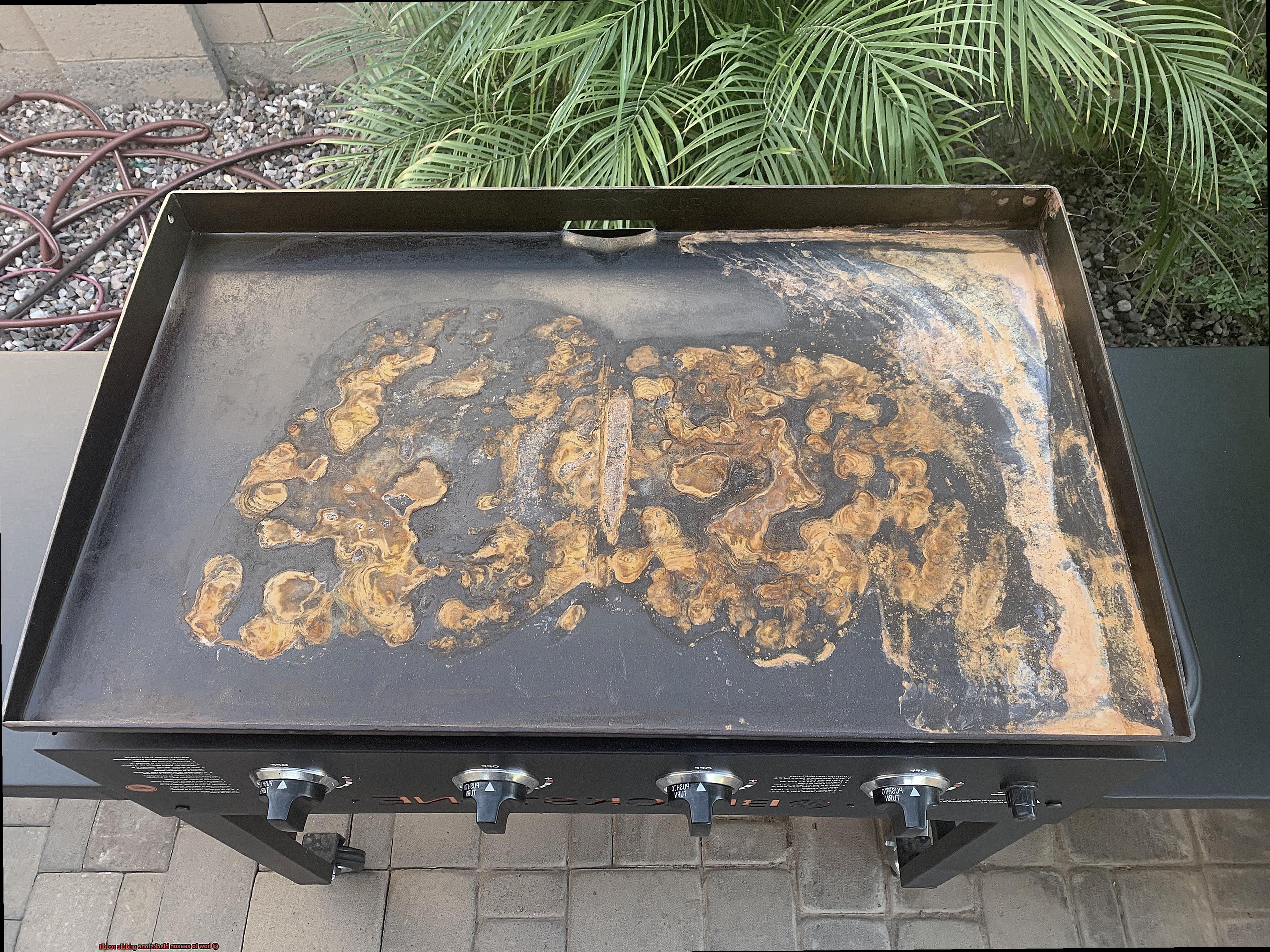 how to season blackstone griddle reddit-4