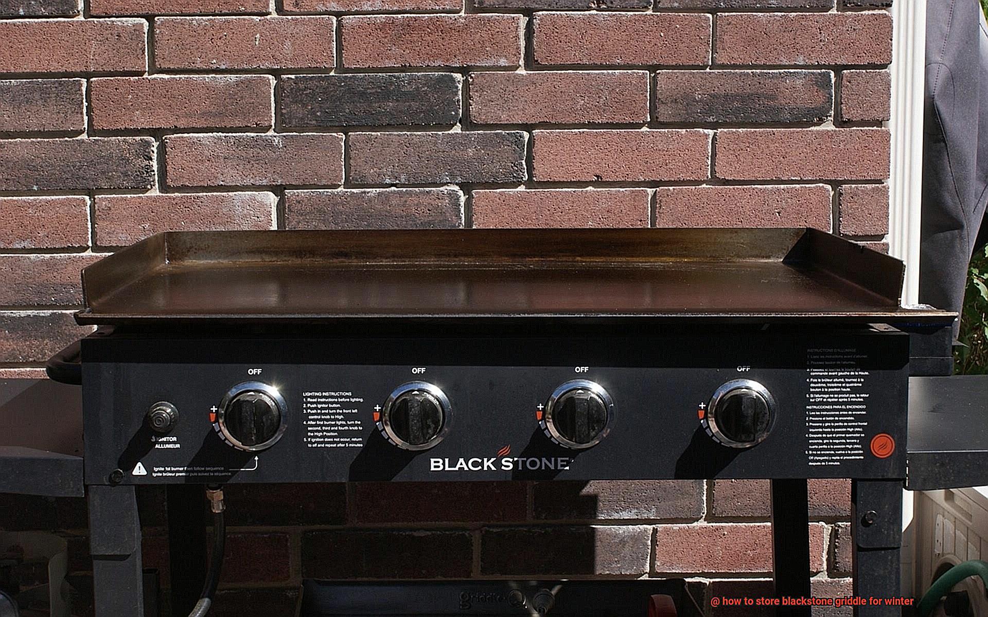 how to store blackstone griddle for winter-6