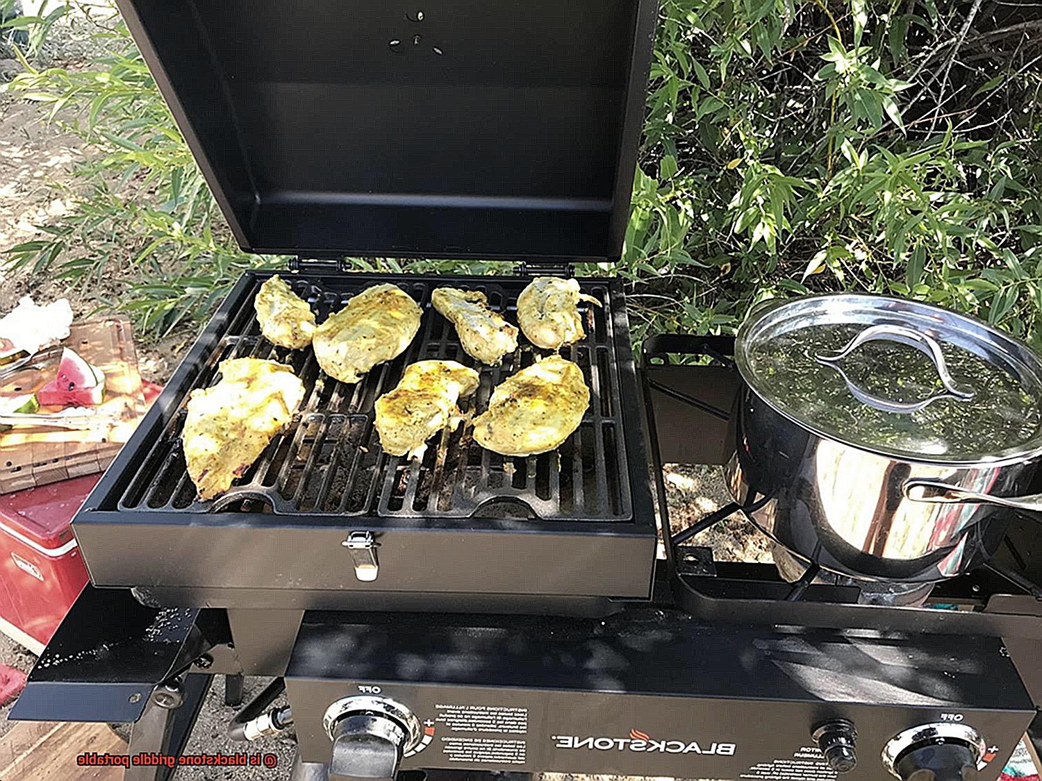 is blackstone griddle portable-5