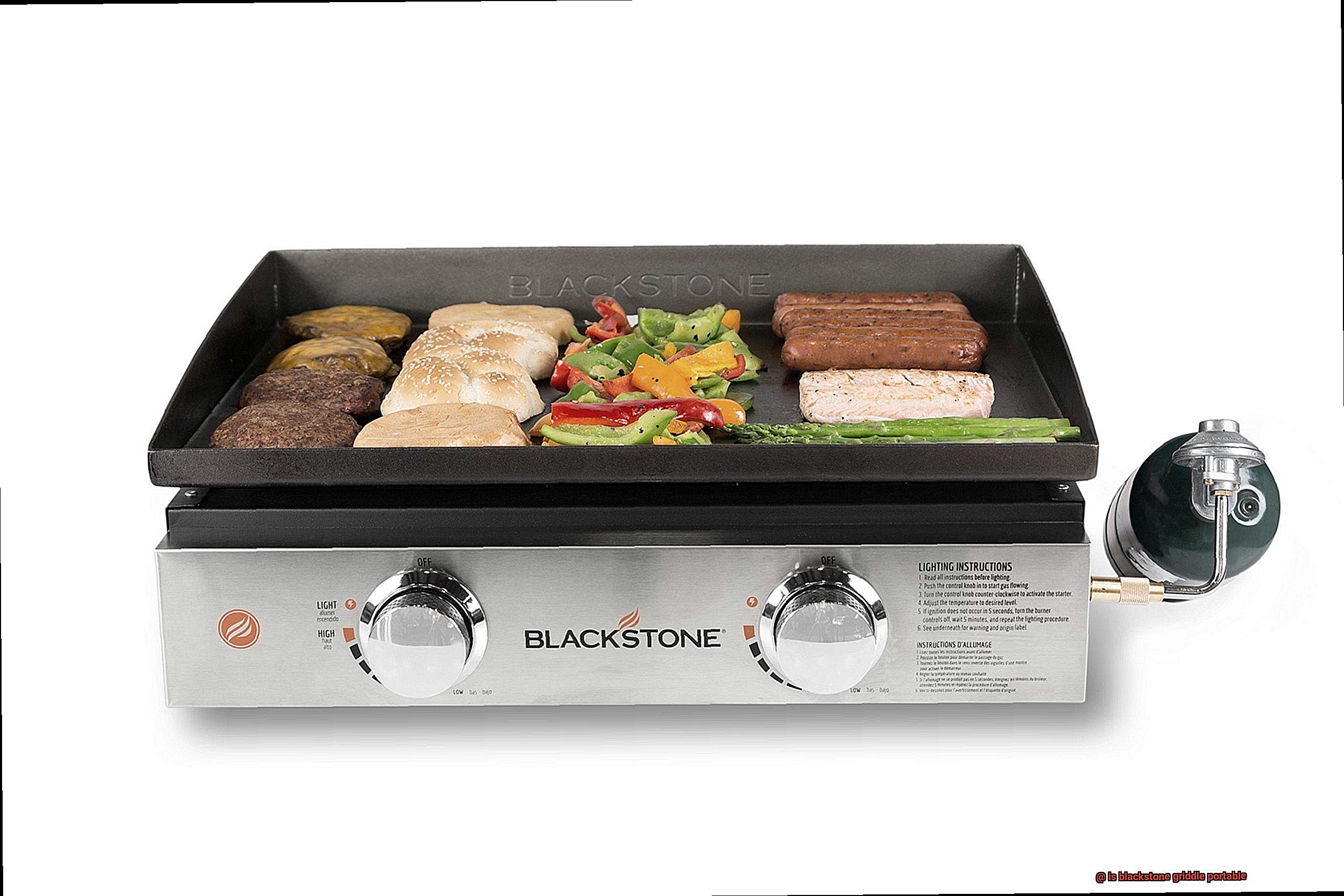 is blackstone griddle portable-7
