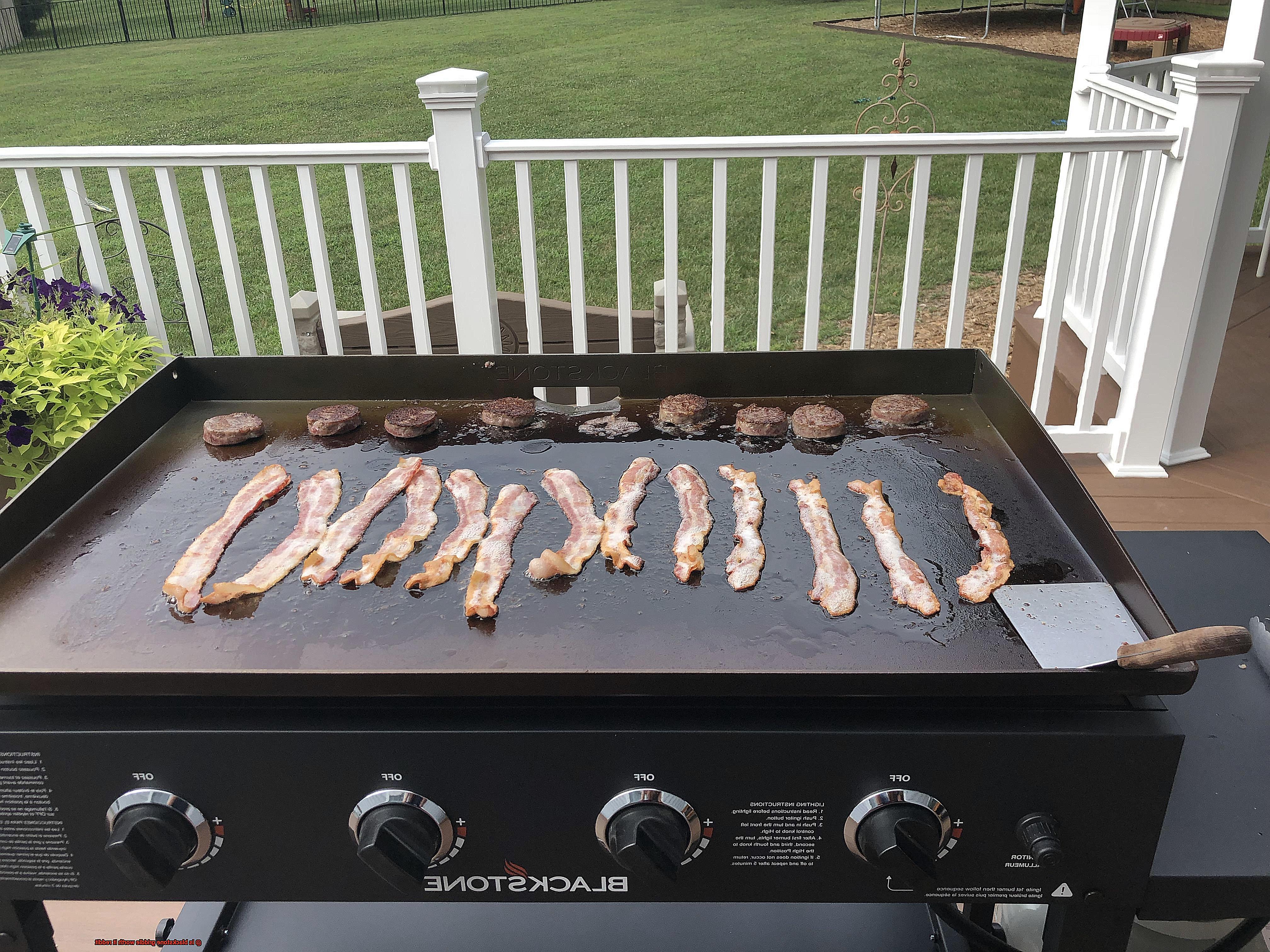 is blackstone griddle worth it reddit-3
