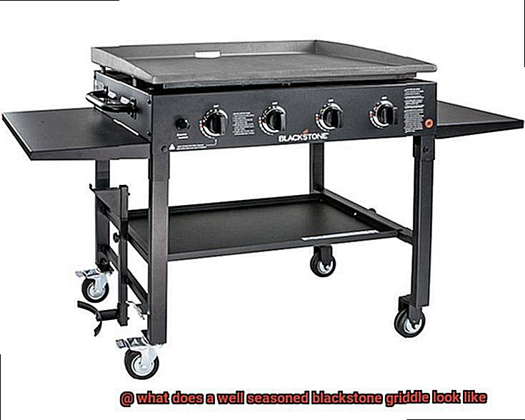 what does a well seasoned blackstone griddle look like-9