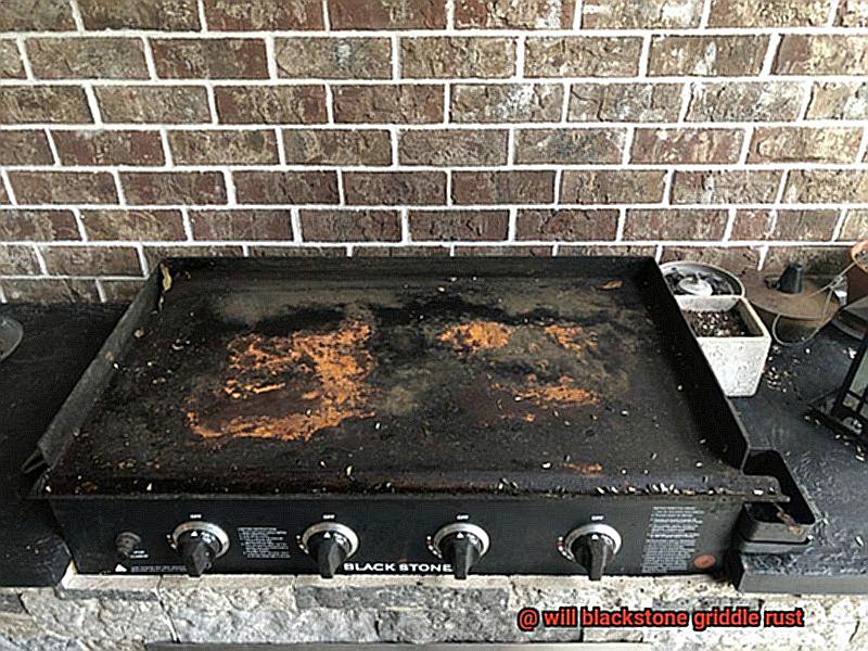 will blackstone griddle rust-4