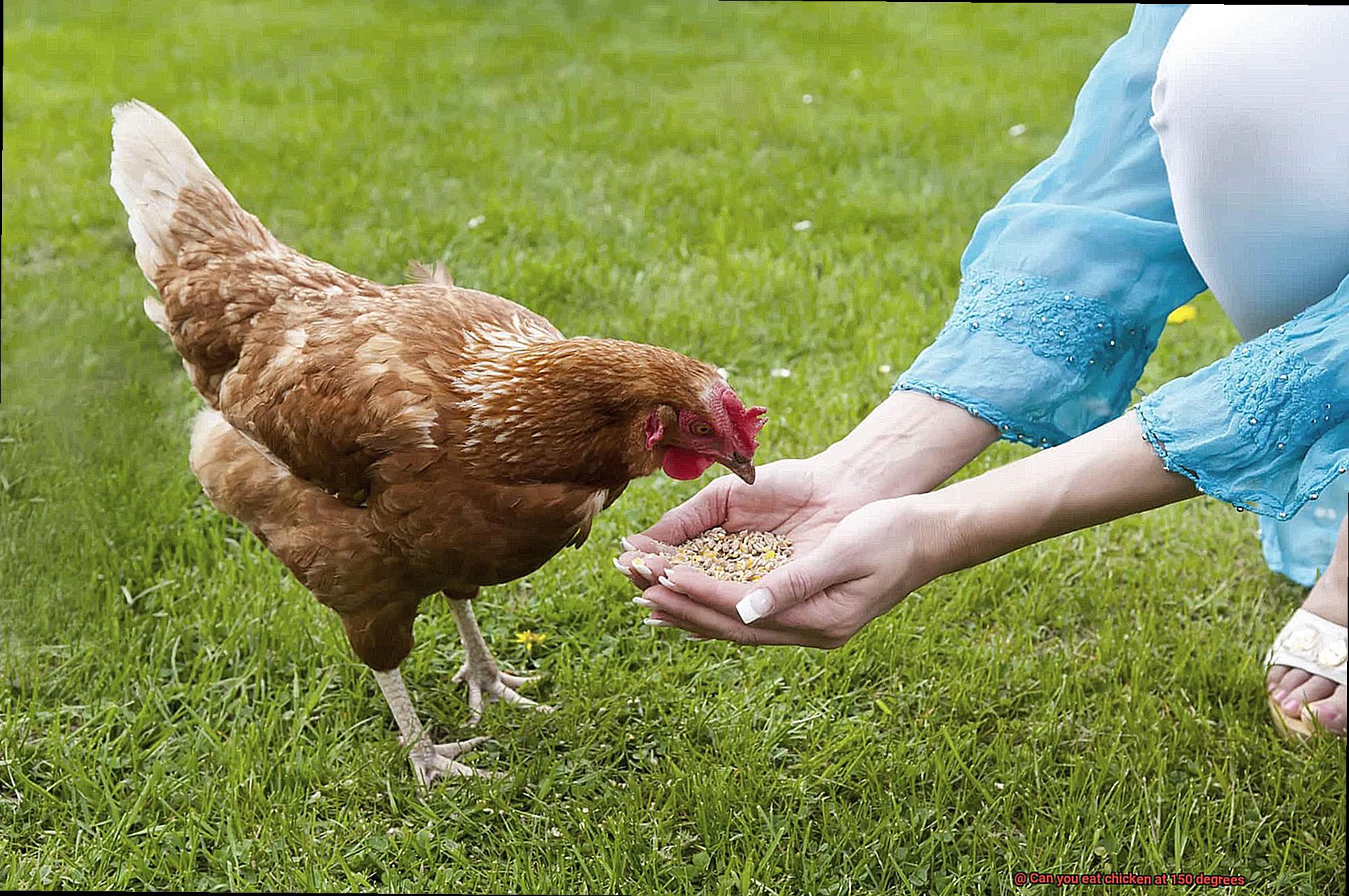 Can you eat chicken at 150 degrees-4