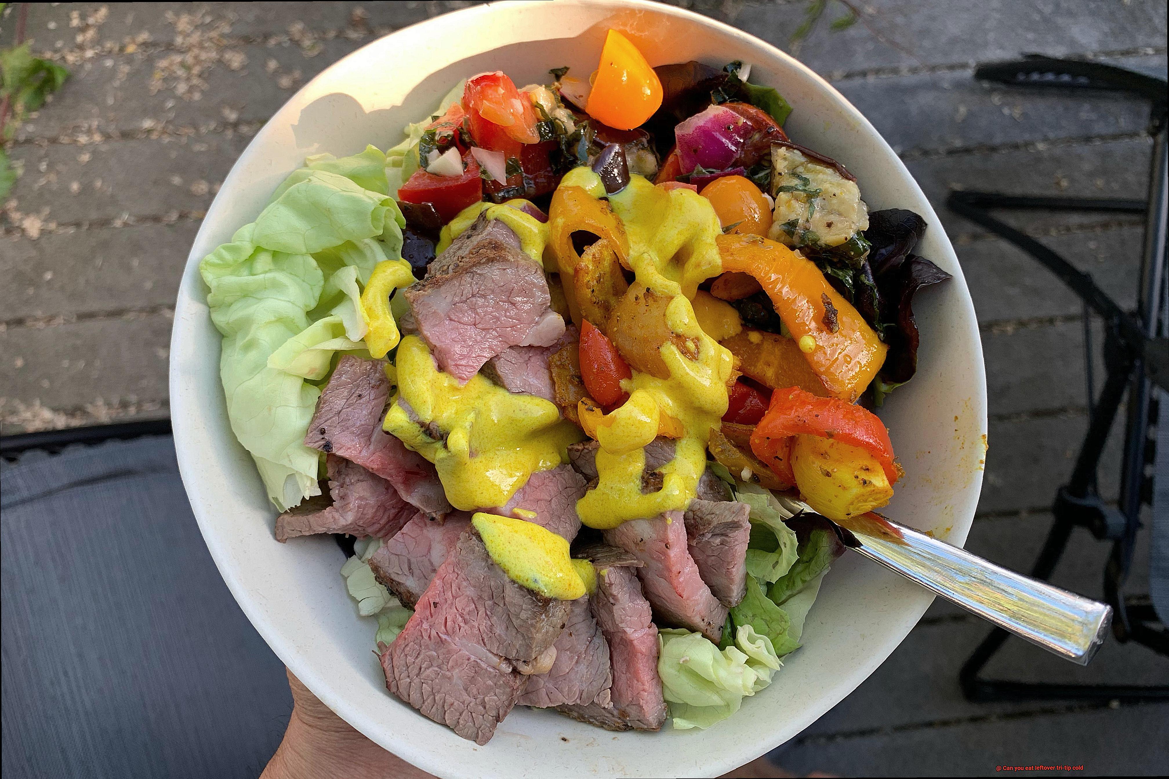 Can you eat leftover tri-tip cold-3