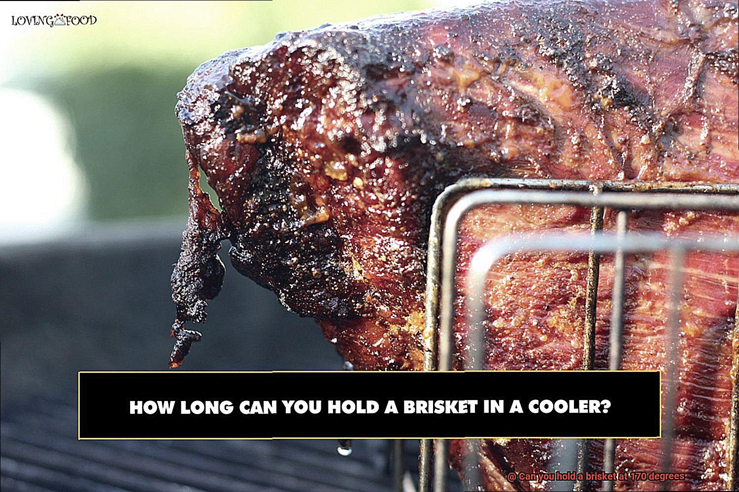 Can you hold a brisket at 170 degrees-4