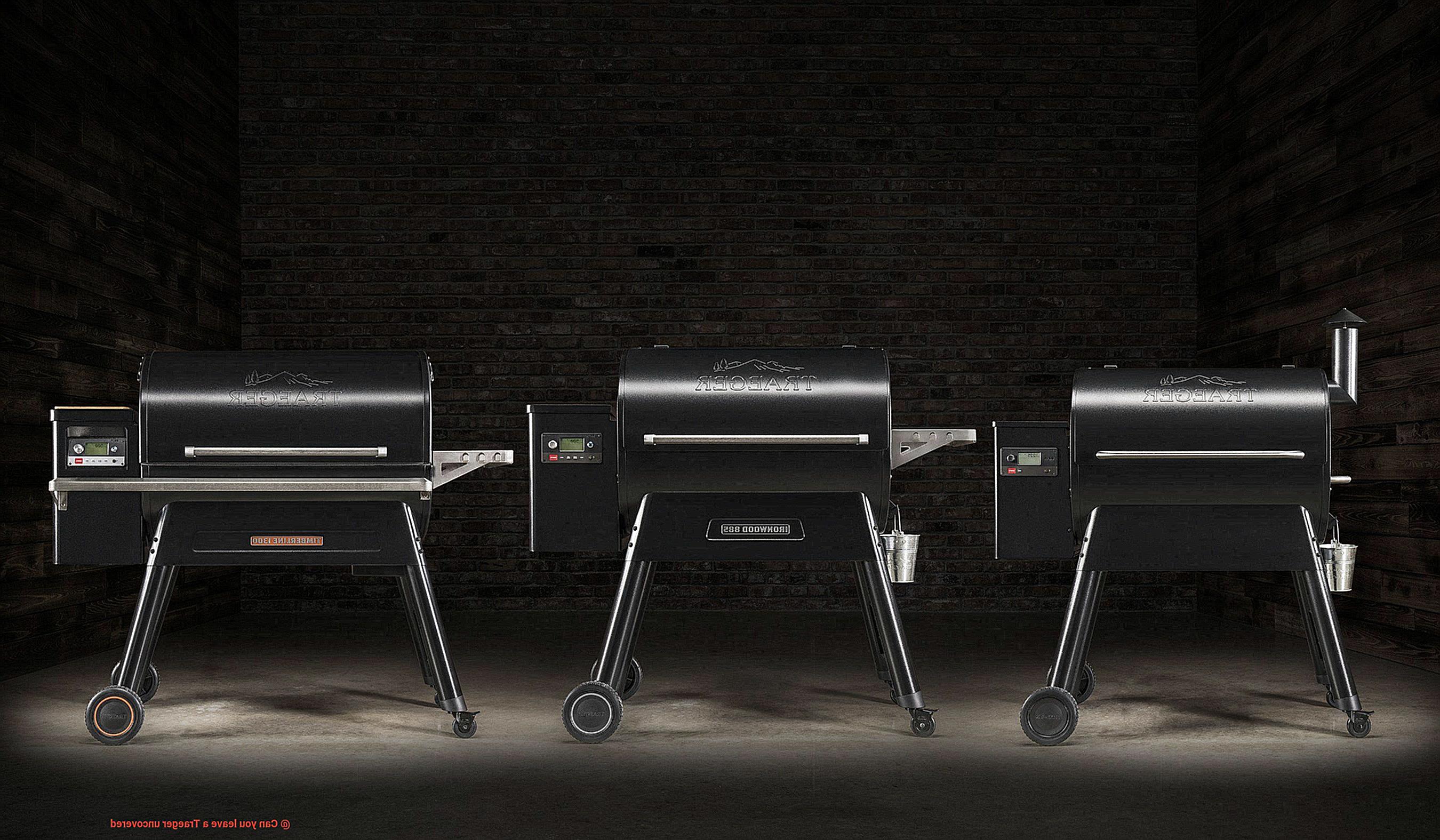Can you leave a Traeger uncovered -5