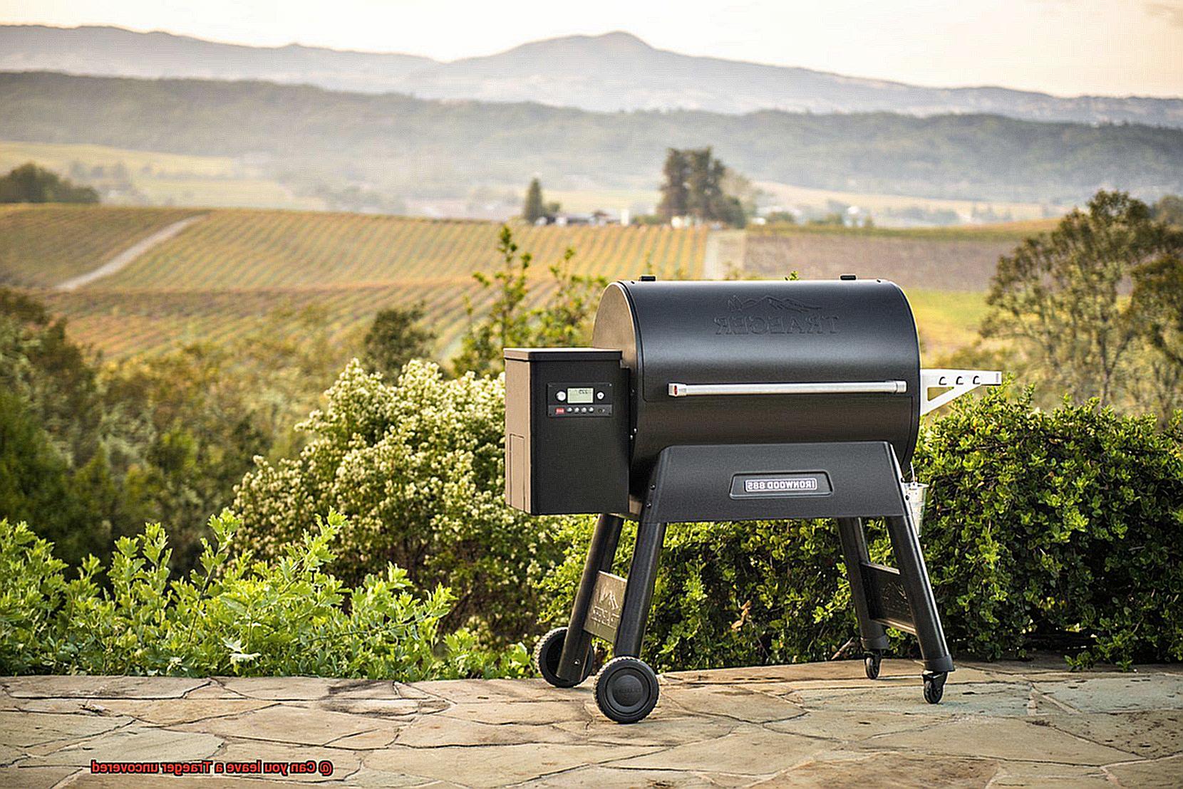 Can you leave a Traeger uncovered -6