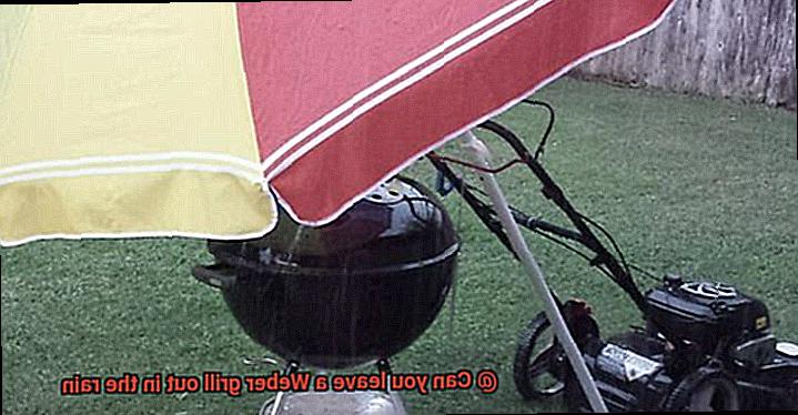 Can you leave a Weber grill out in the rain-3
