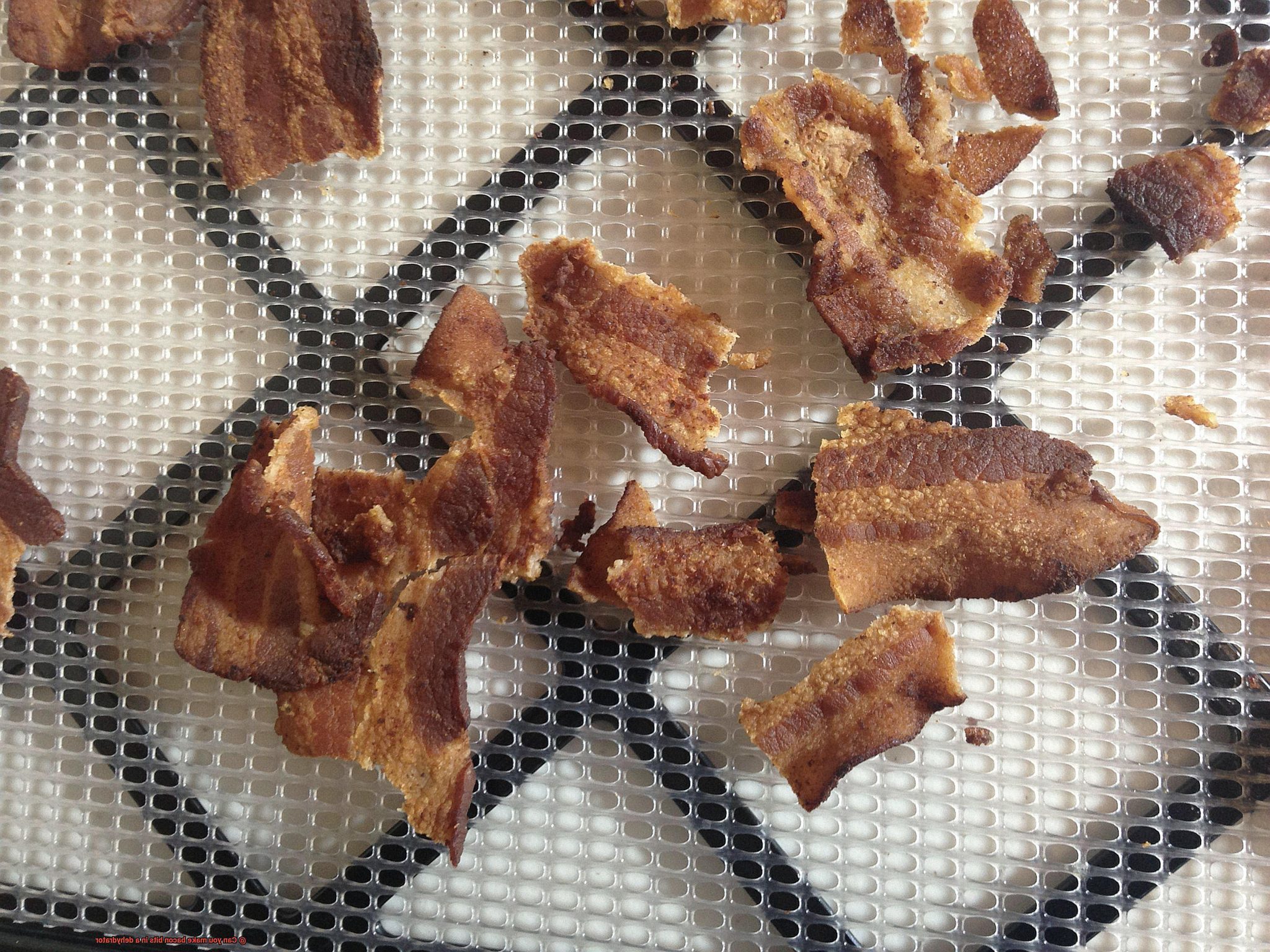 Can you make bacon bits in a dehydrator? Pastime Bar And Grill
