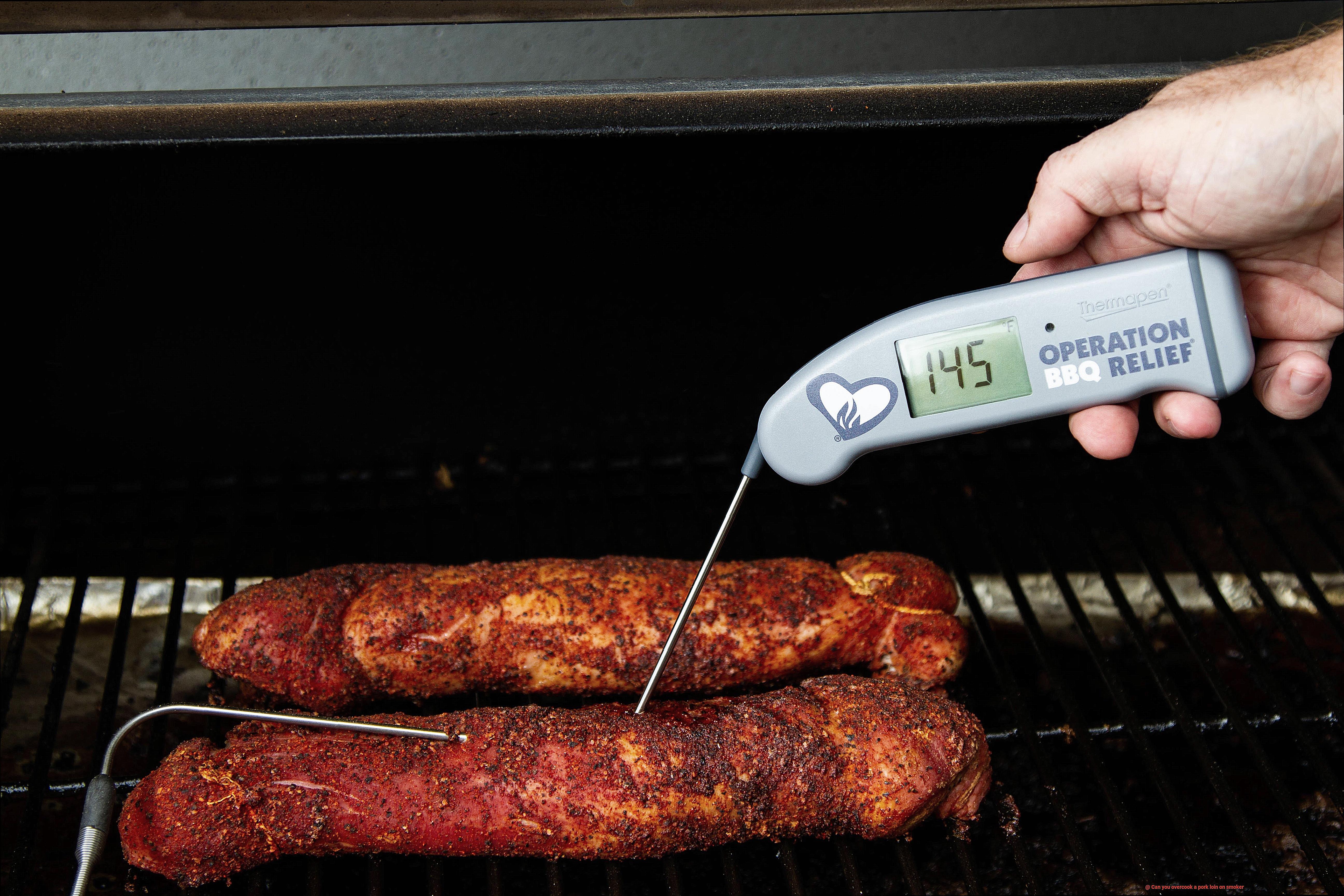 Can you overcook a pork loin on smoker-3