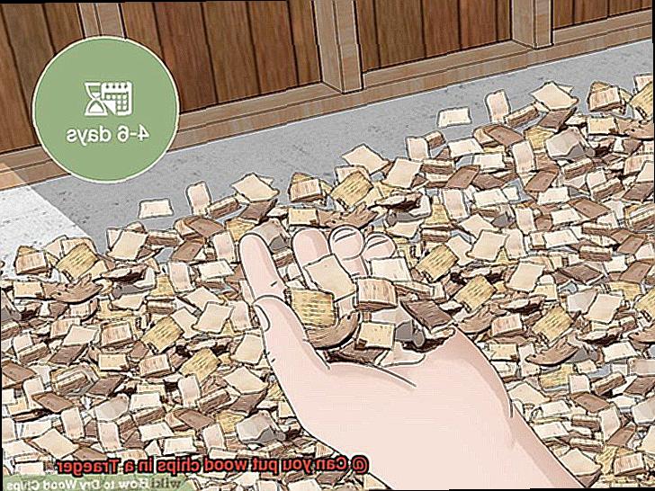 Can you put wood chips in a Traeger -2