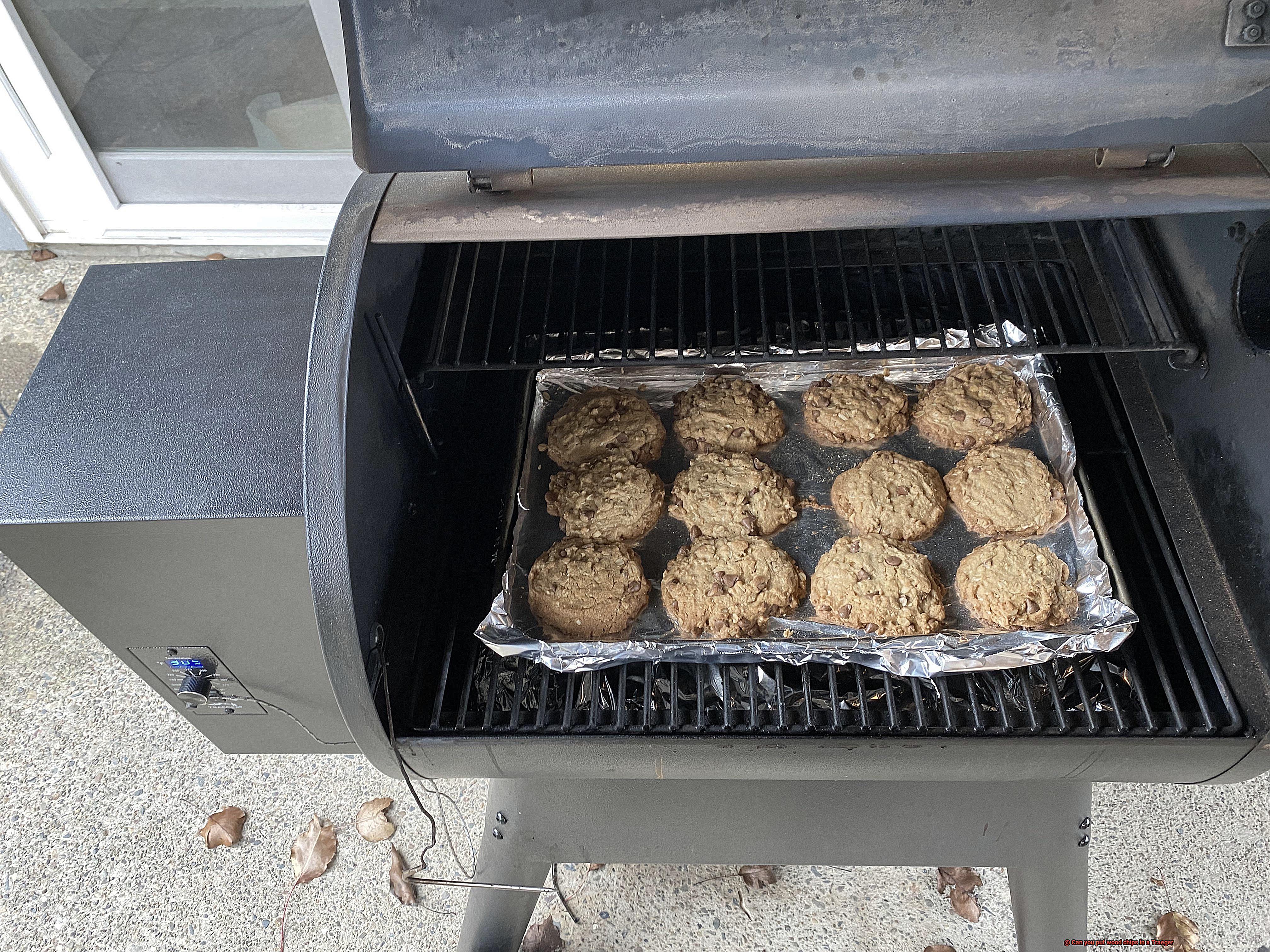 Can you put wood chips in a Traeger -6