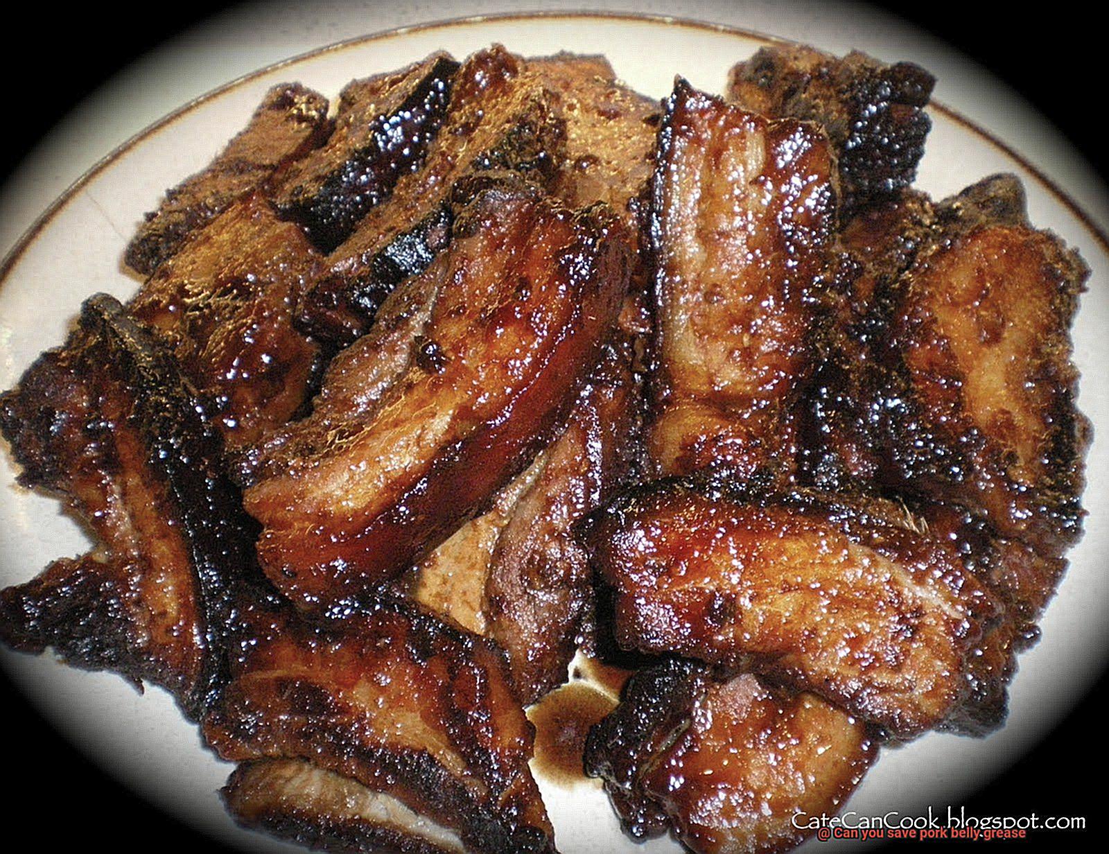 Can you save pork belly grease-5