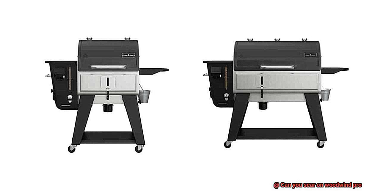 Can you sear on woodwind pro-6
