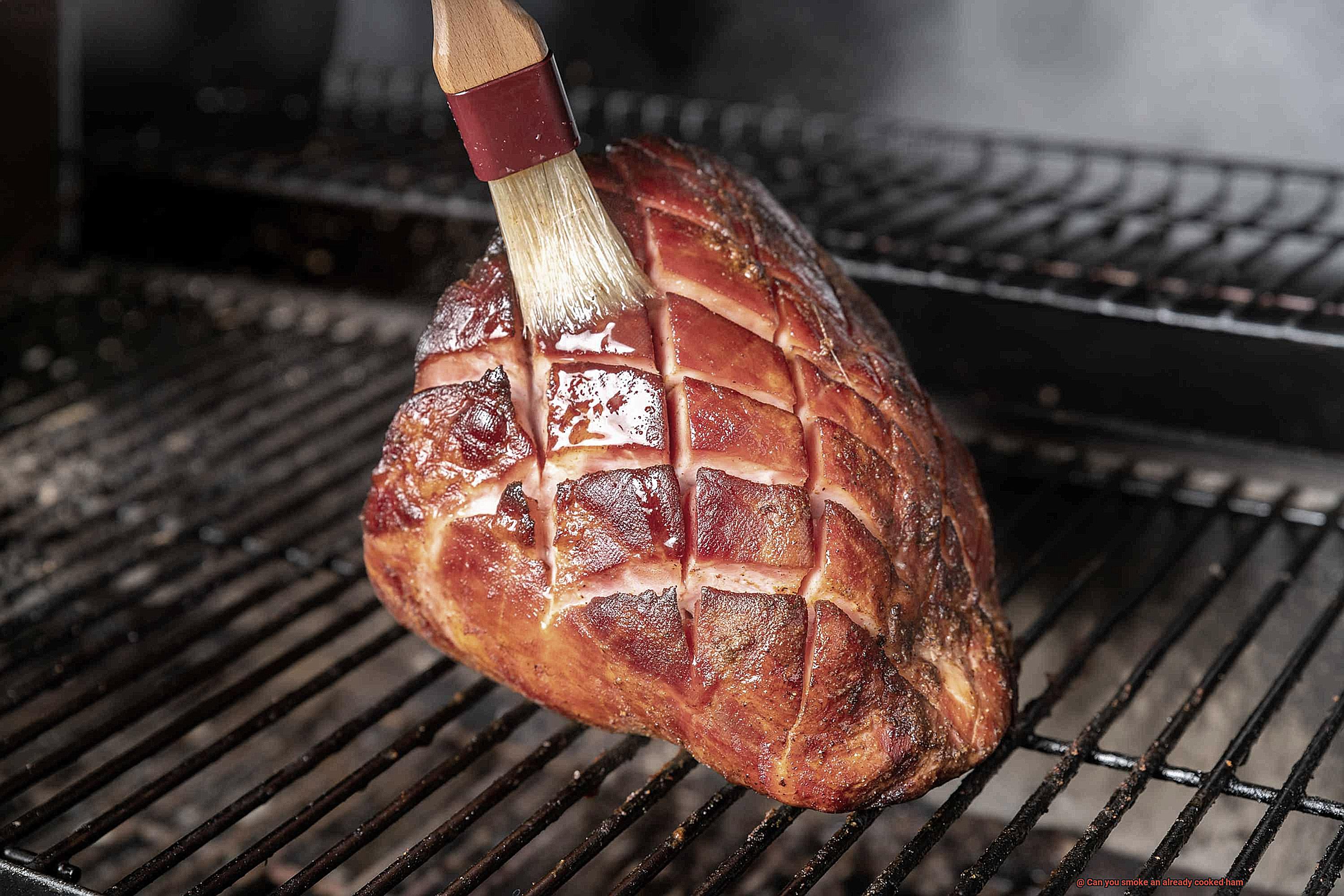 Can you smoke an already cooked ham-2