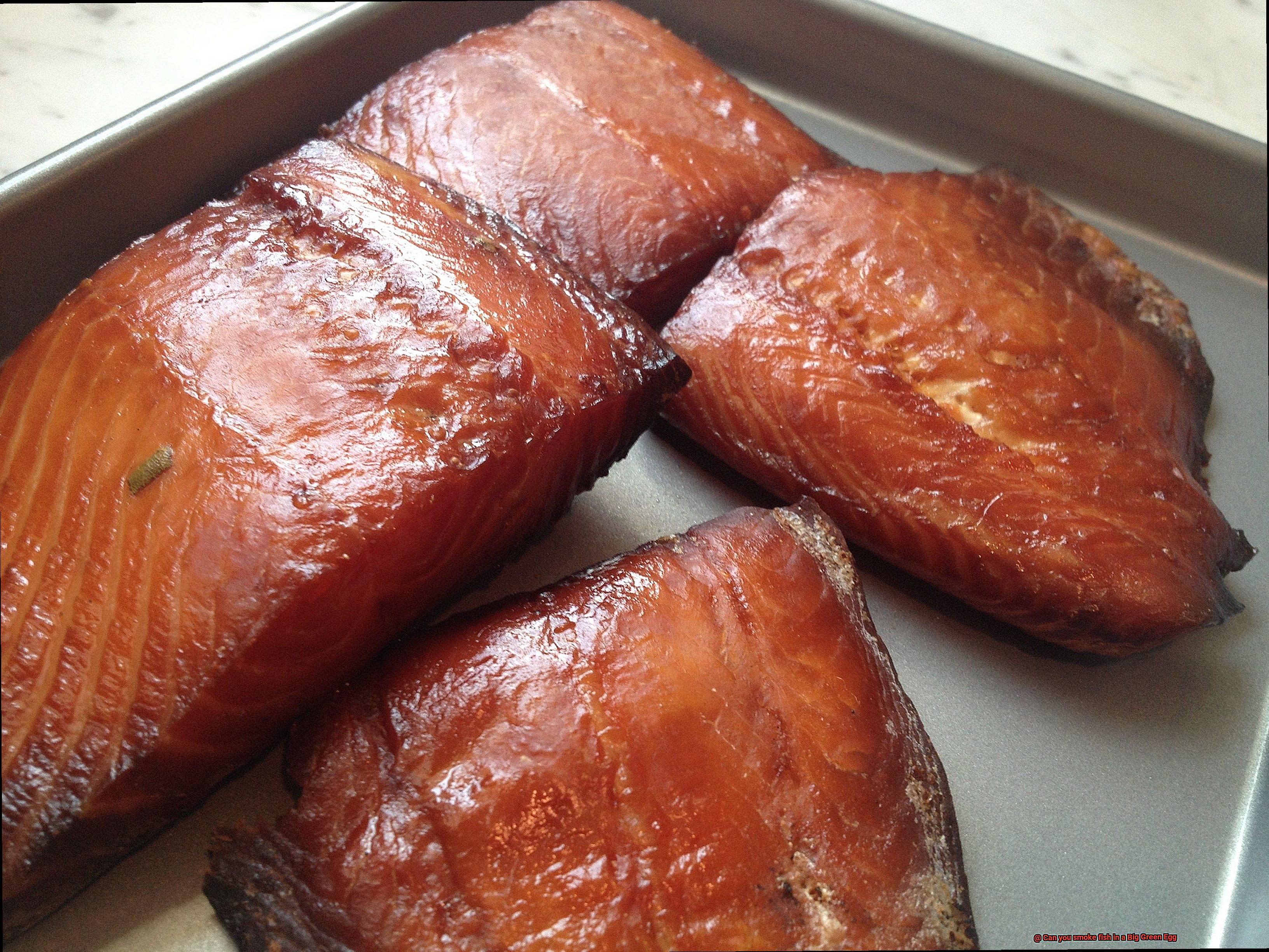 Can you smoke fish in a Big Green Egg-4