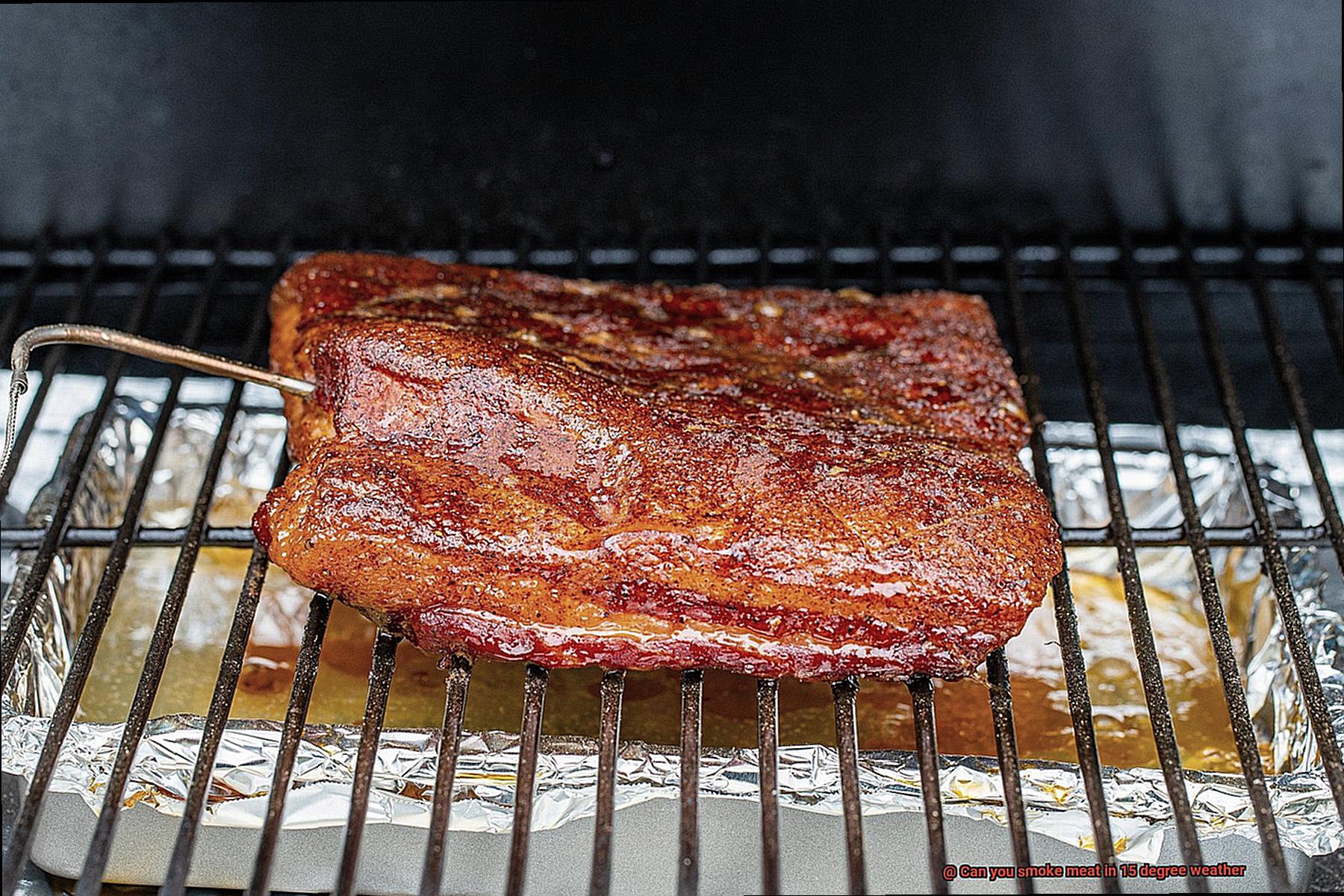 Can you smoke meat in 15 degree weather-2