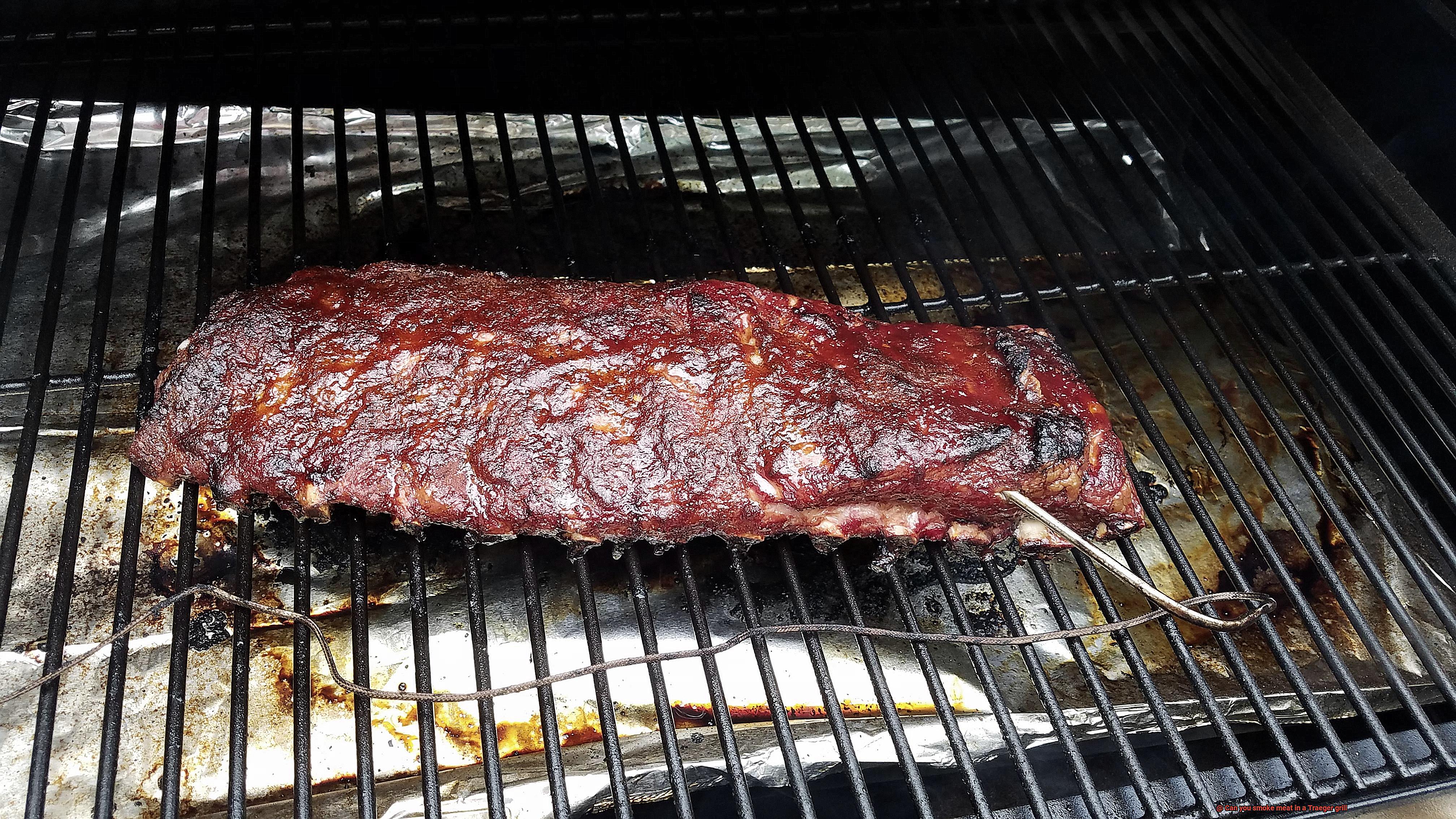 Can you smoke meat in a Traeger grill-5