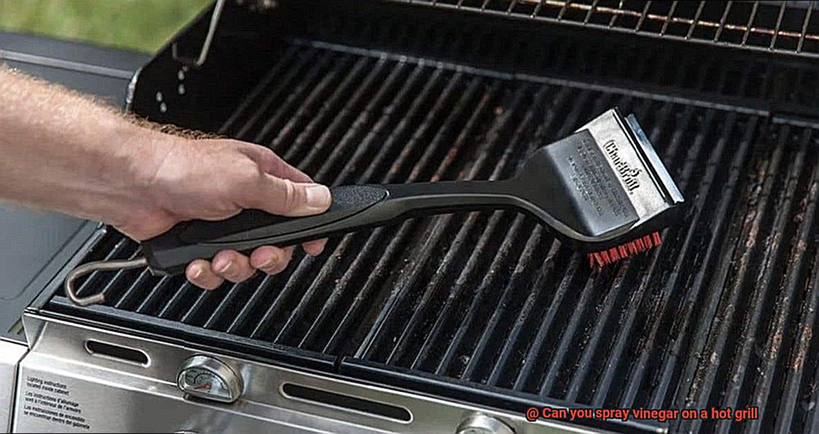Can you spray vinegar on a hot grill-4