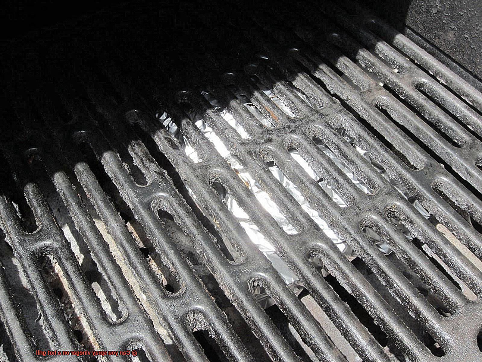 Can you spray vinegar on a hot grill-9