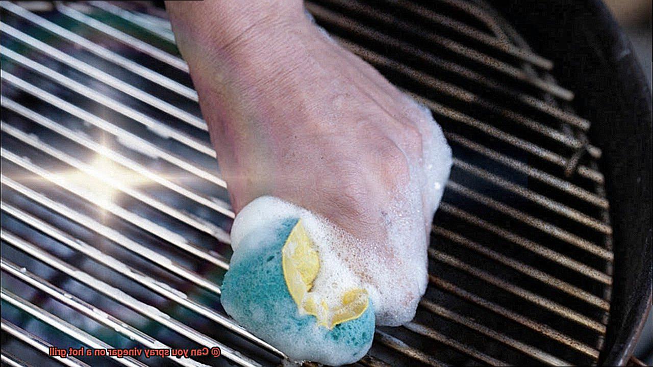 Can you spray vinegar on a hot grill-5