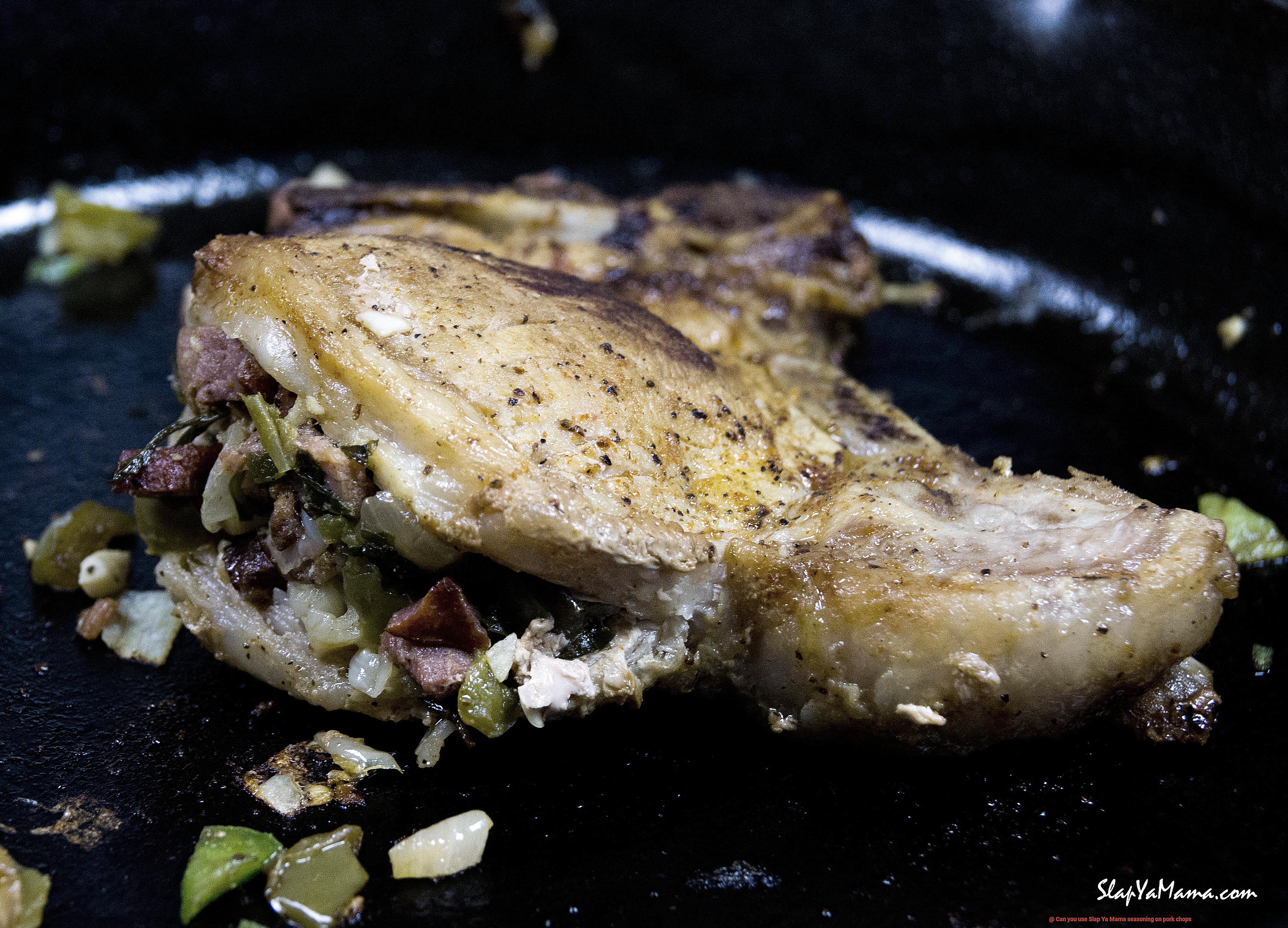 Can you use Slap Ya Mama seasoning on pork chops-7
